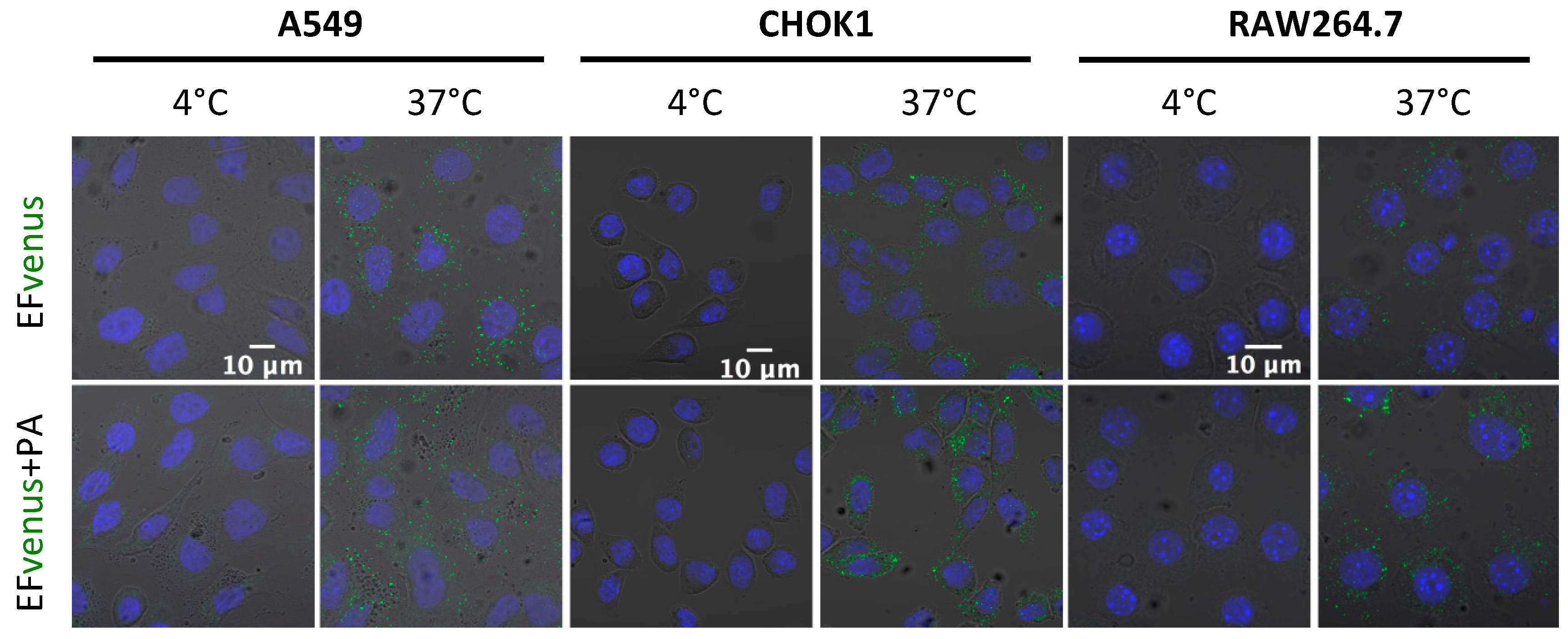 Microorganisms 12 00308 g006