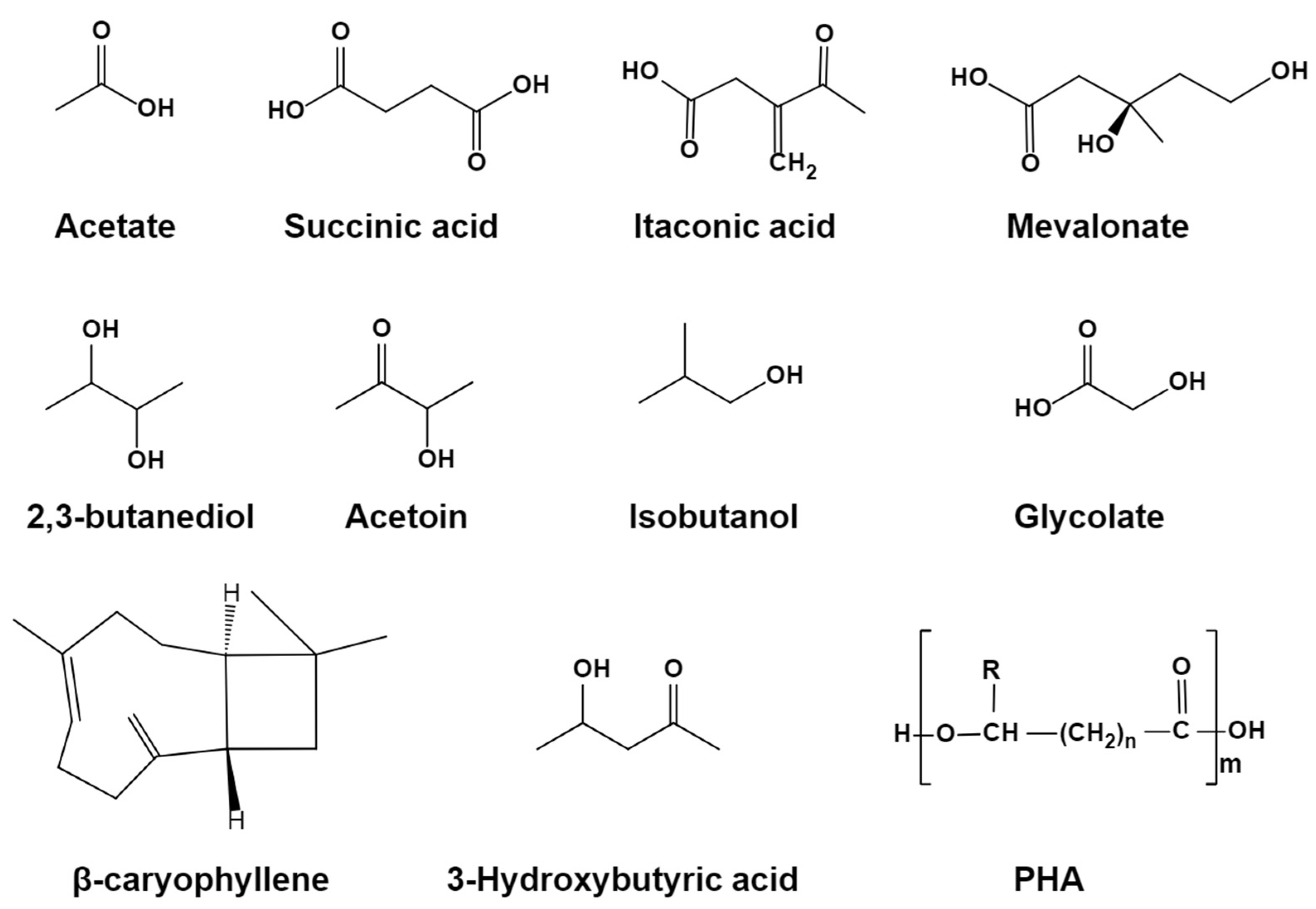 Application of Acetate as a Substrate for the Production of Value-Added ...