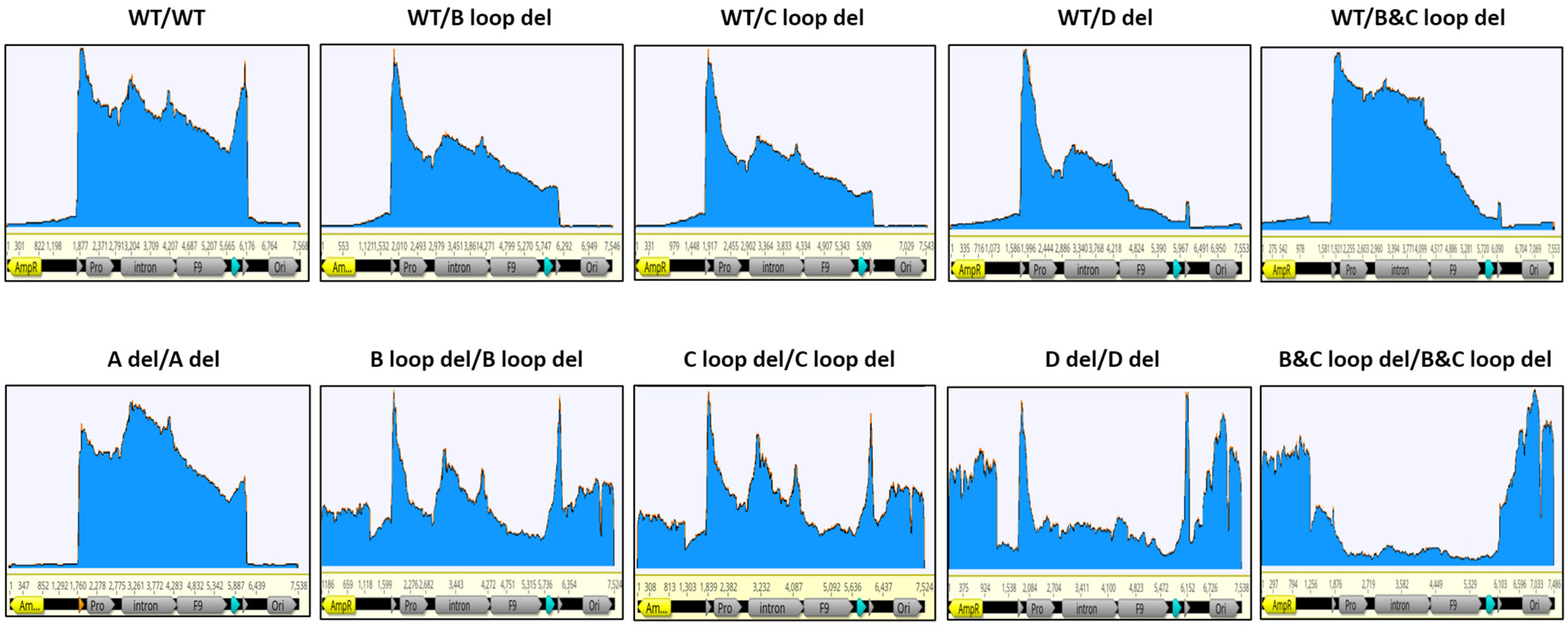 Microorganisms 12 00310 g005