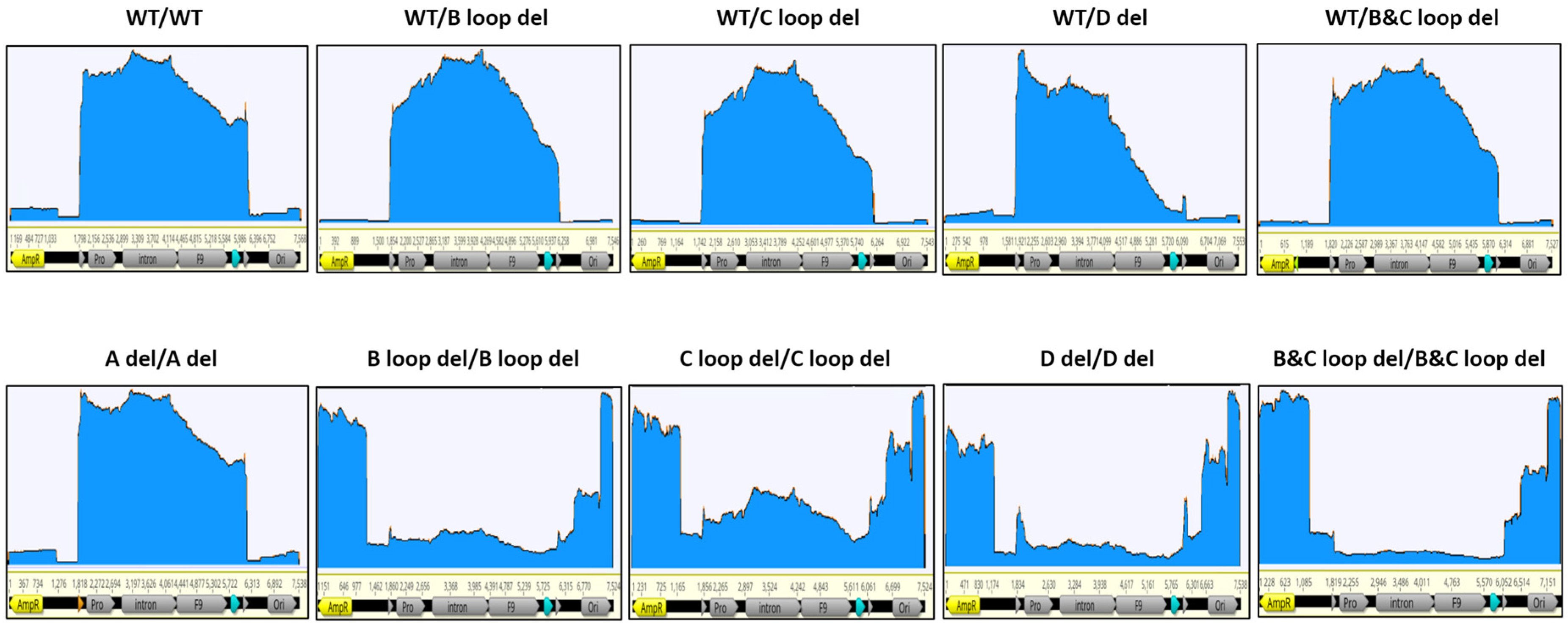 Microorganisms 12 00310 g006