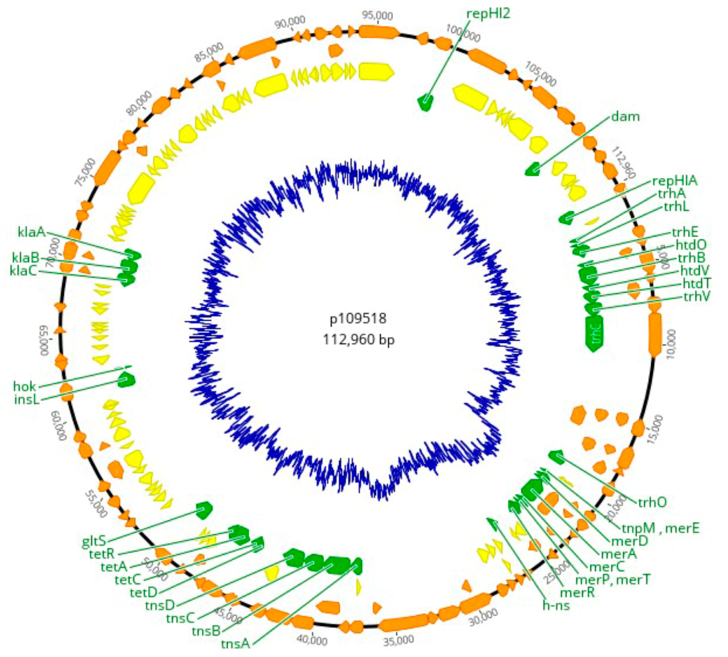 Microorganisms 12 00312 g001