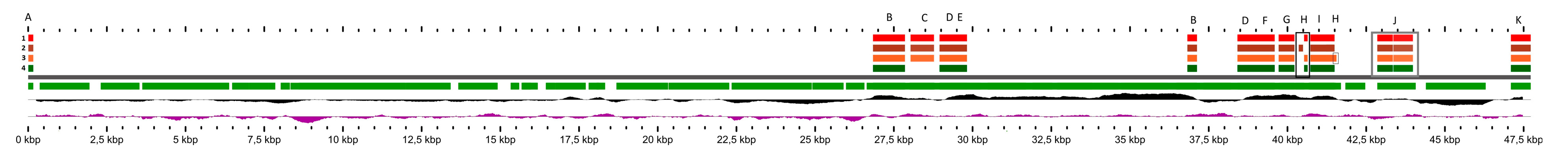 Microorganisms 12 00312 g002