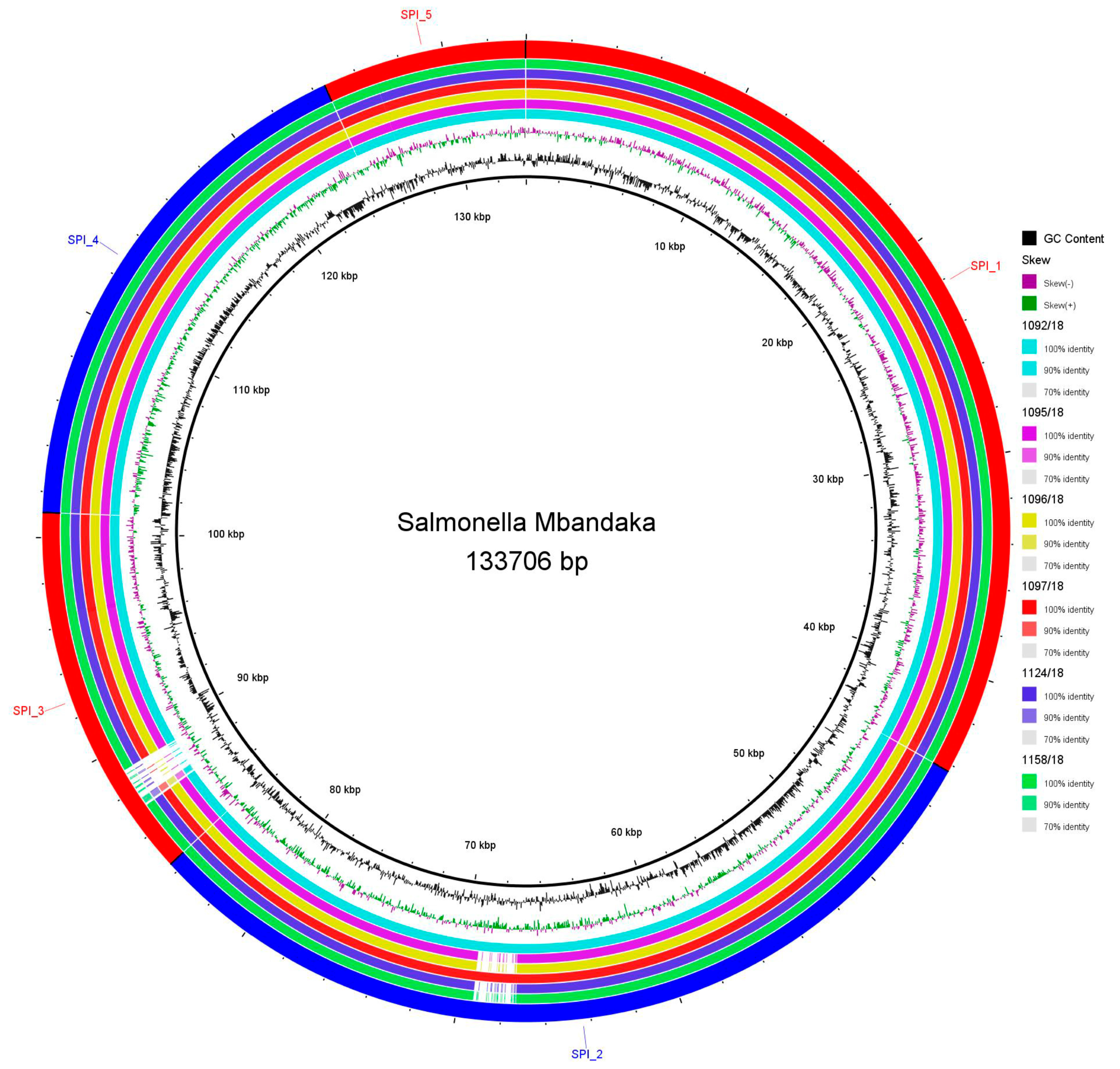 Microorganisms 12 00312 g003