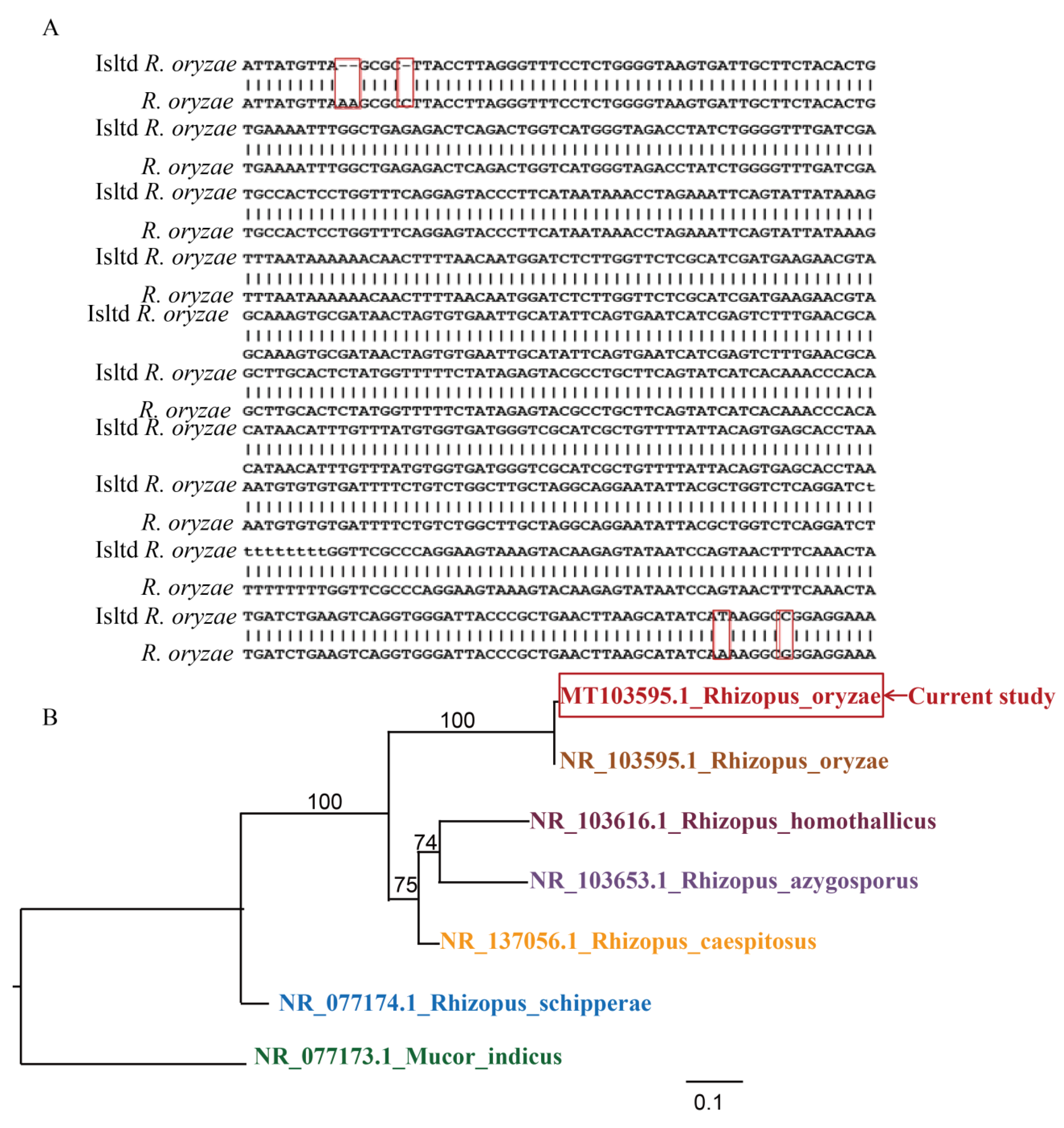 Microorganisms 12 00313 g004 Microorganisms 12 00313 g004