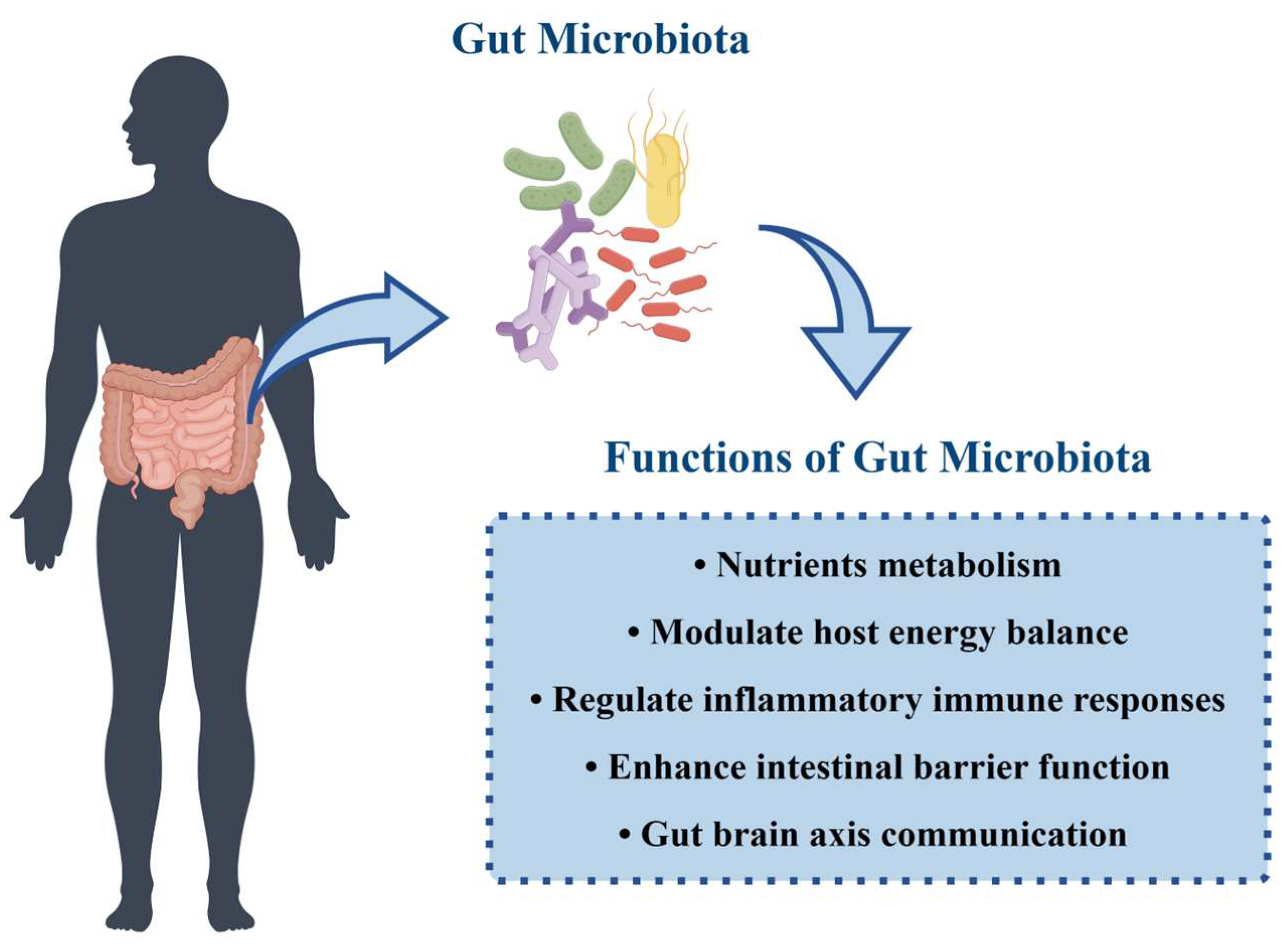 Microorganisms 12 00323 g001