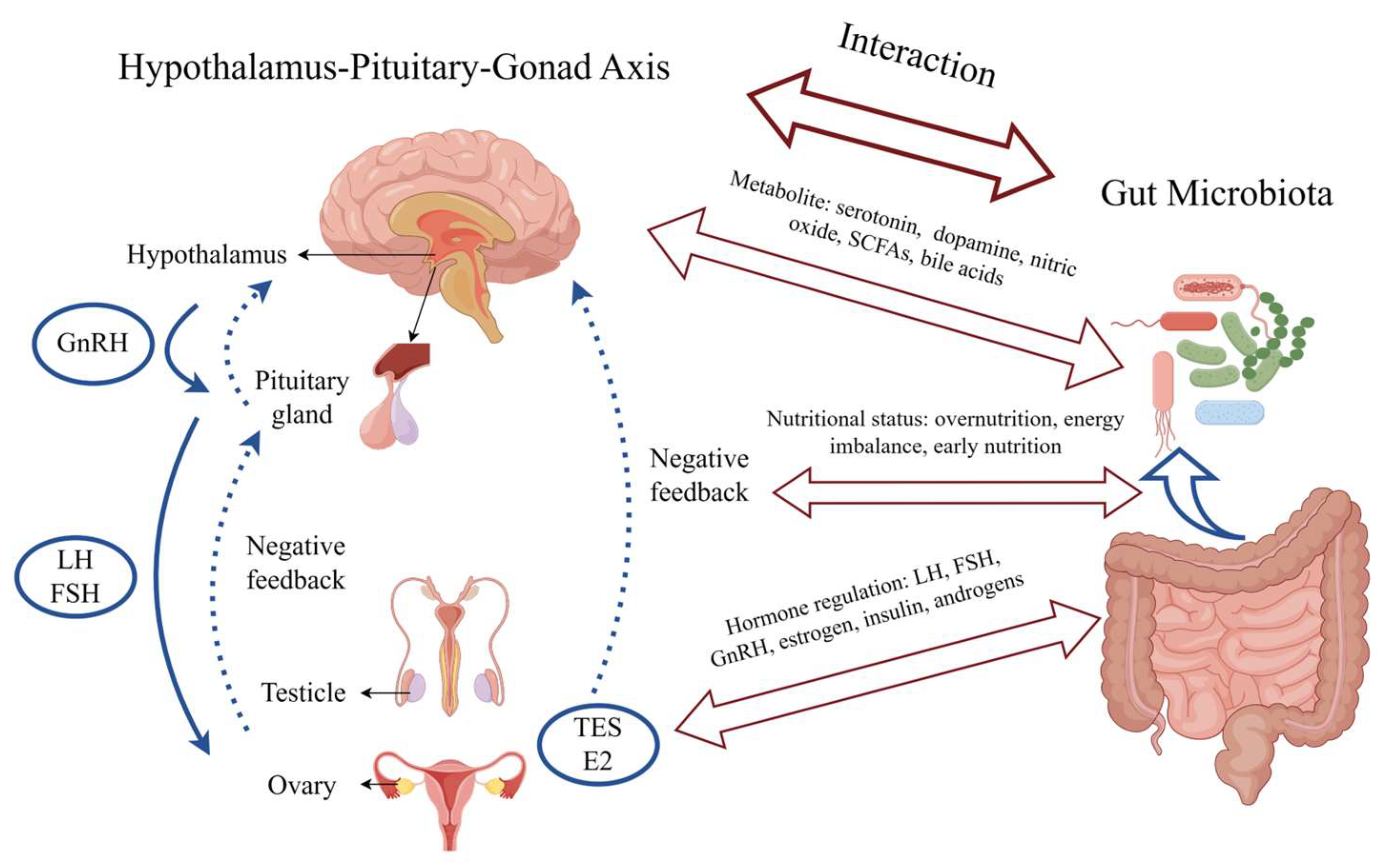Microorganisms 12 00323 g002