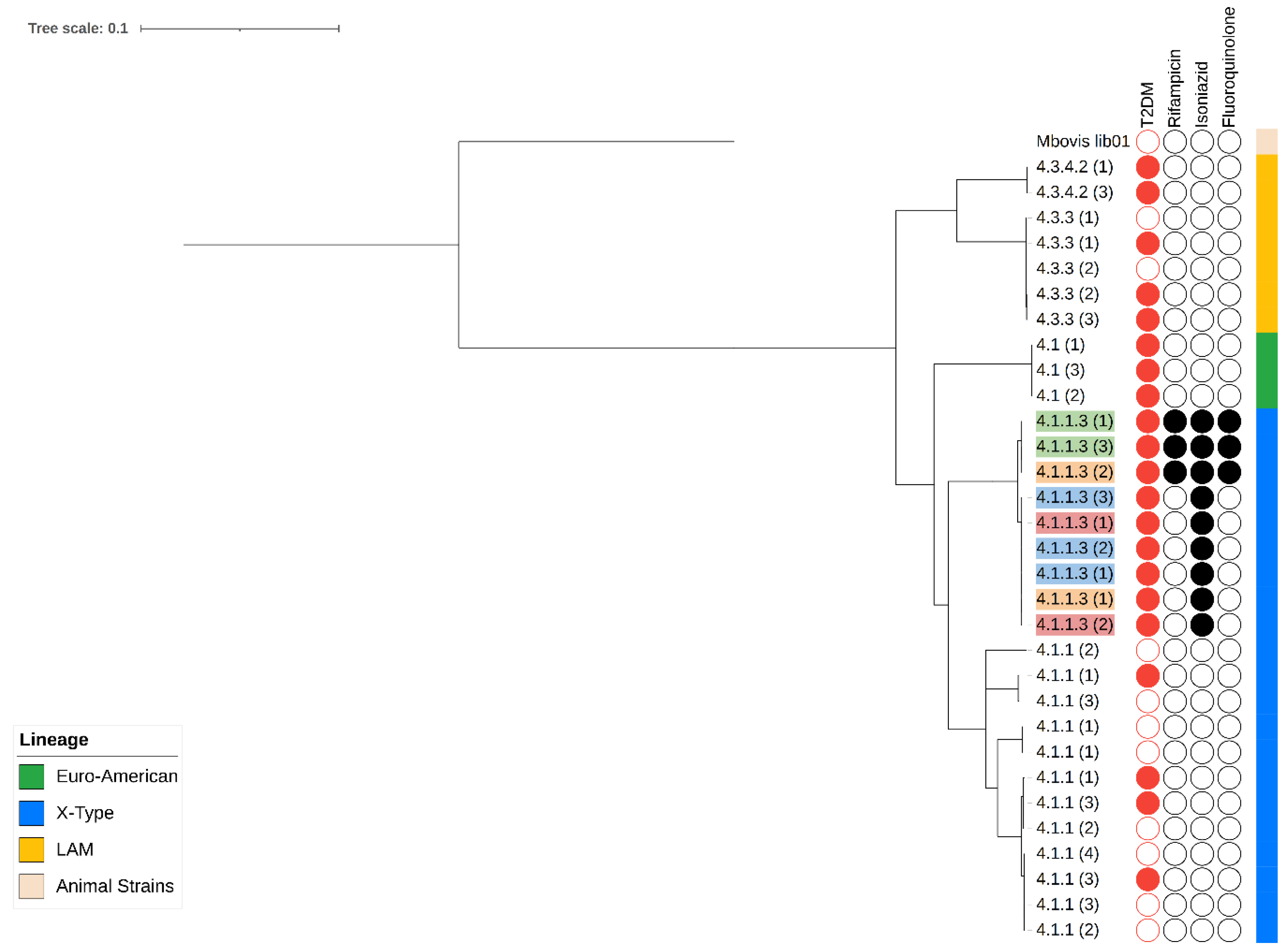 Microorganisms 12 00324 g001