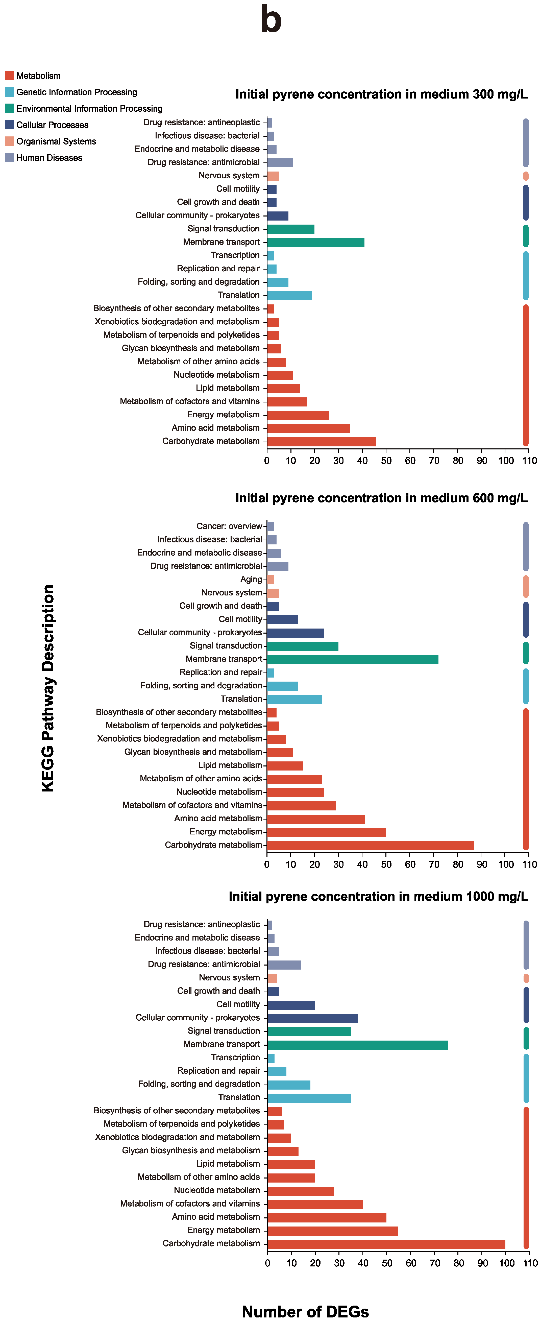 Microorganisms 12 00326 g002b