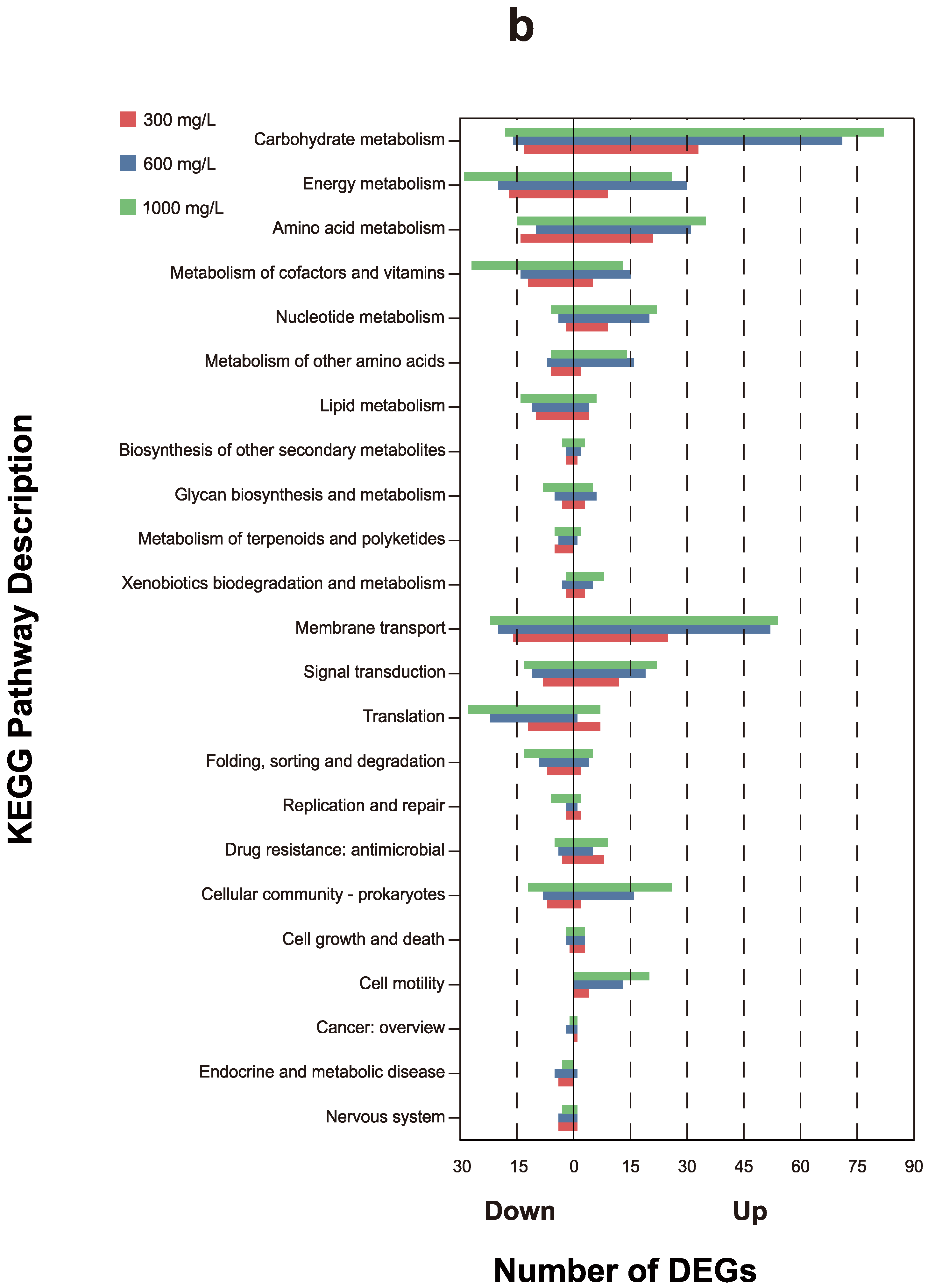 Microorganisms 12 00326 g003b