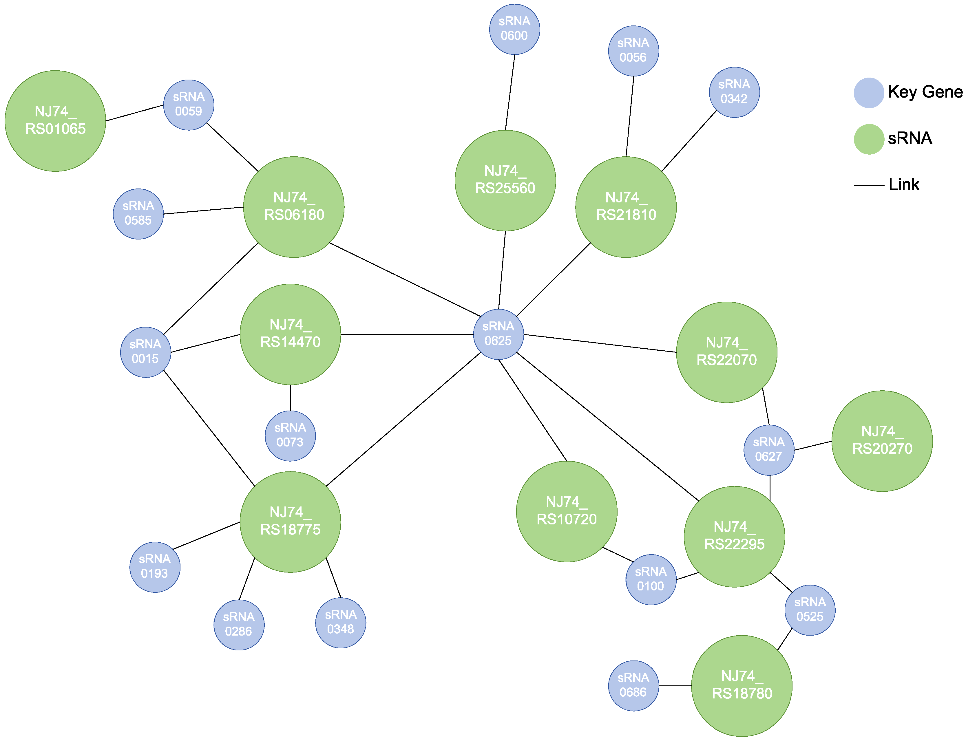 Microorganisms 12 00326 g004
