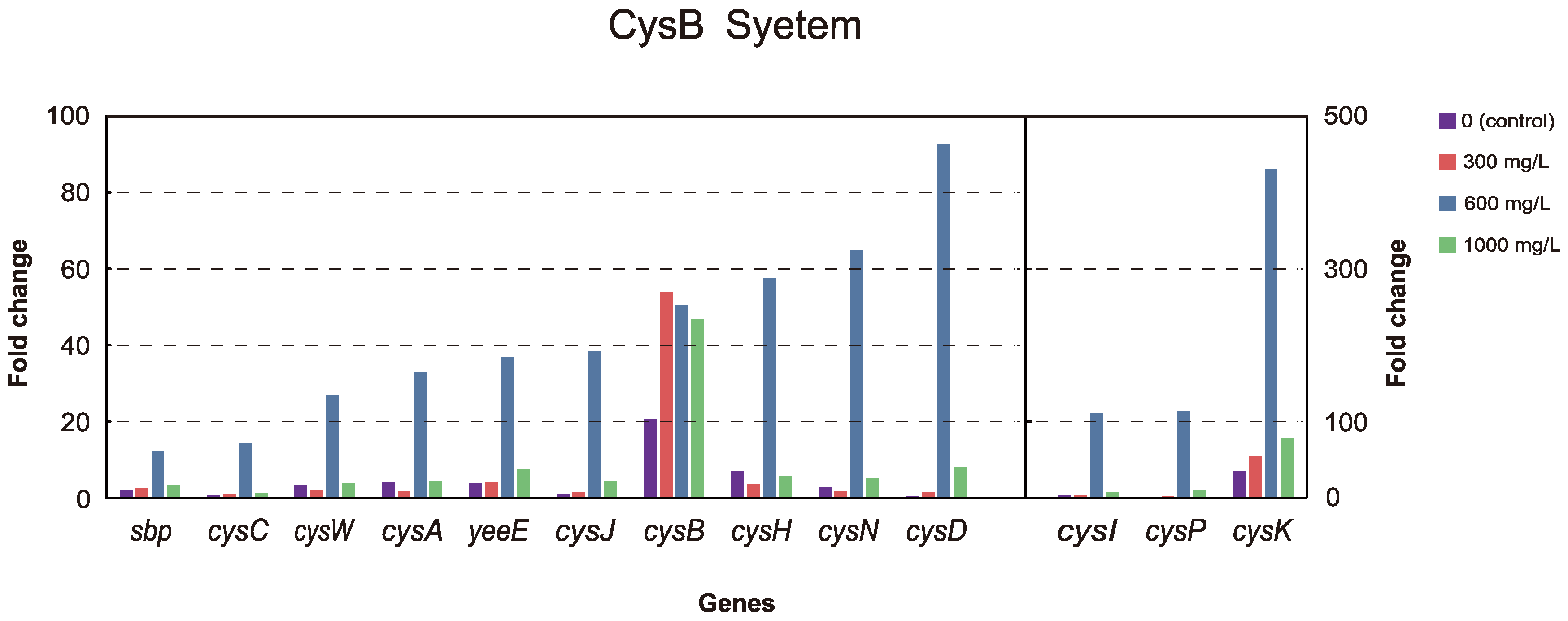 Microorganisms 12 00326 g005