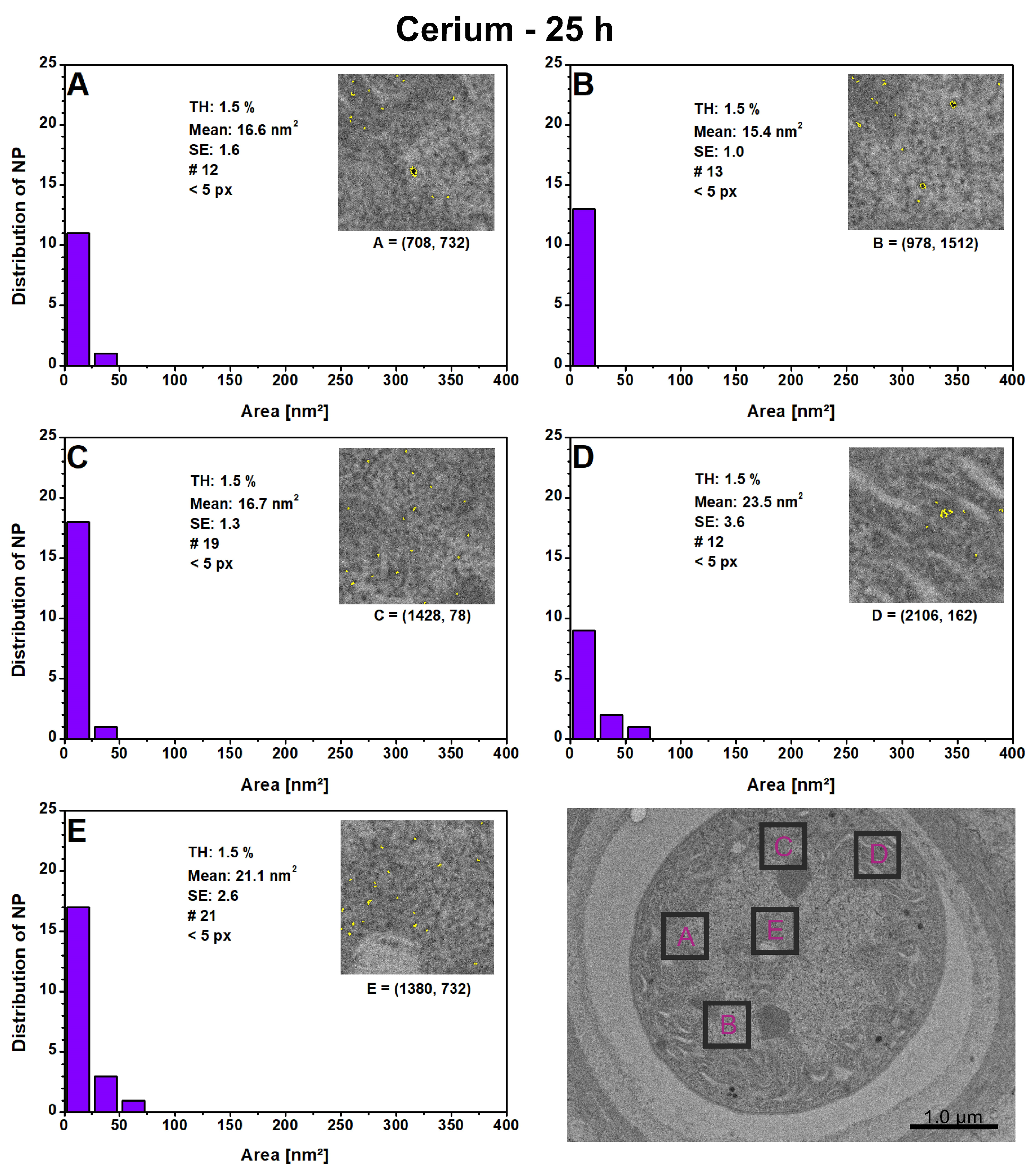 Microorganisms 12 00330 g007