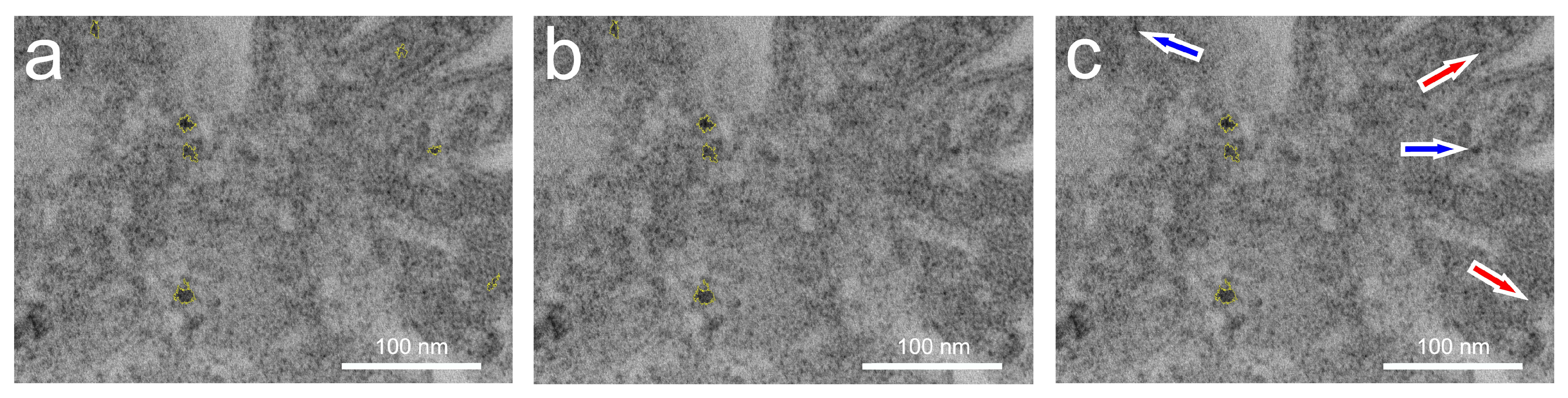 Microorganisms 12 00330 g009
