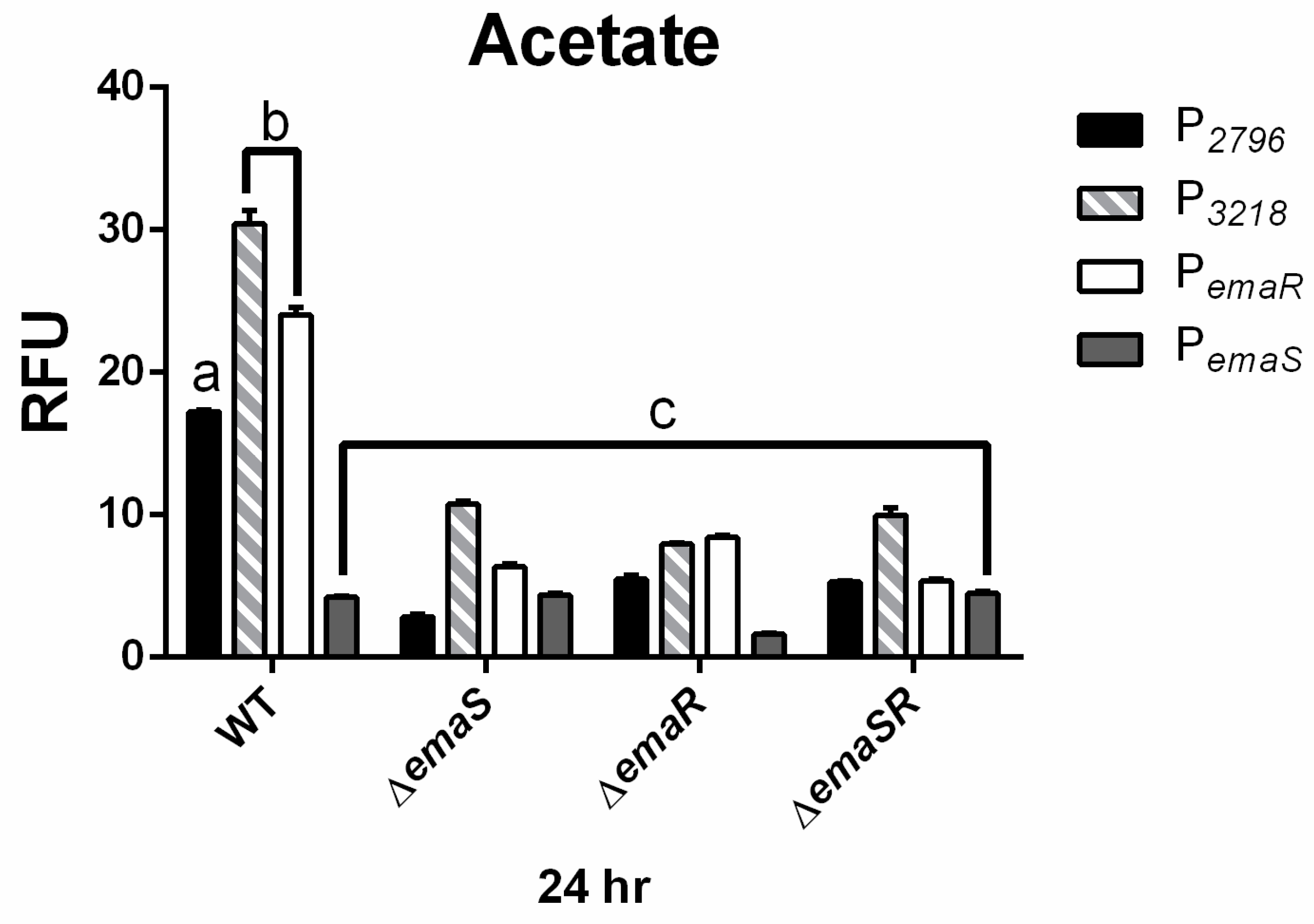 Microorganisms 12 00331 g004 Microorganisms 12 00331 g004
