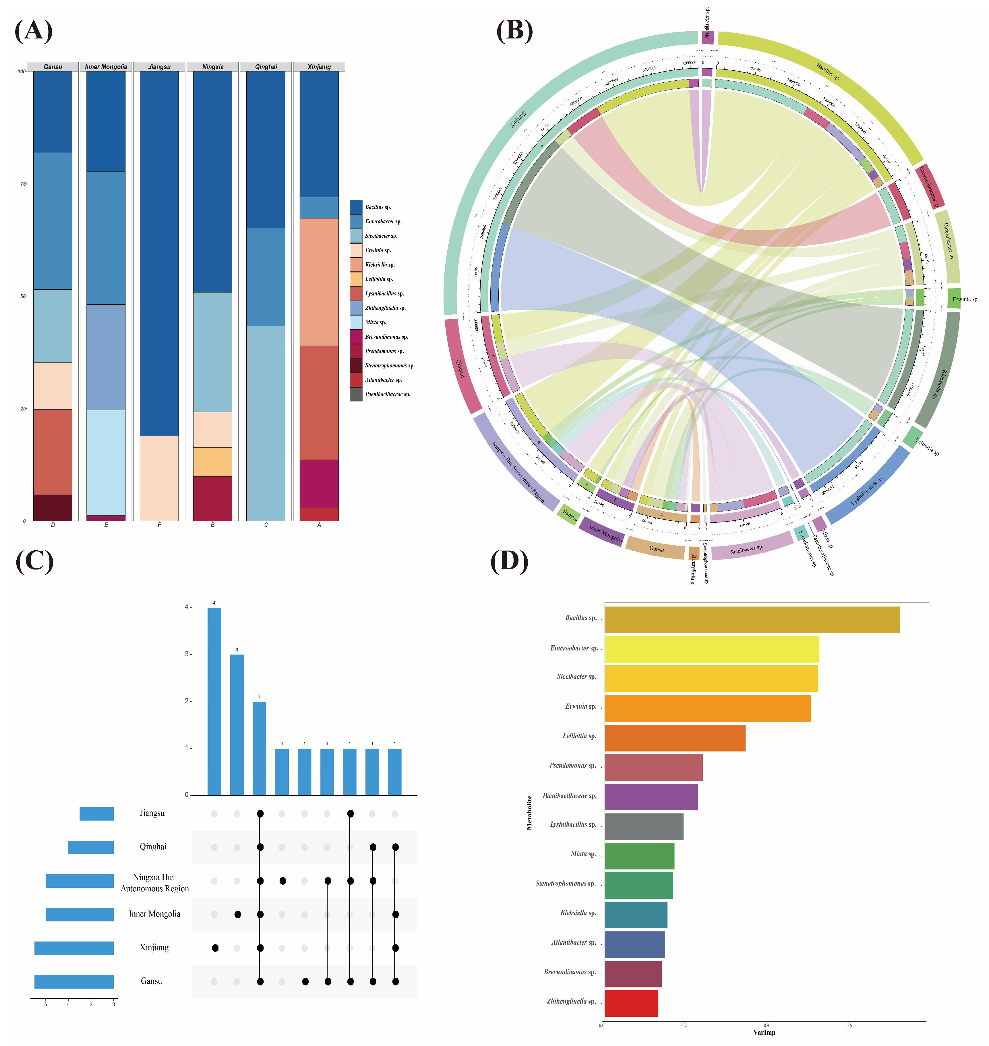 Microorganisms 12 00339 g002