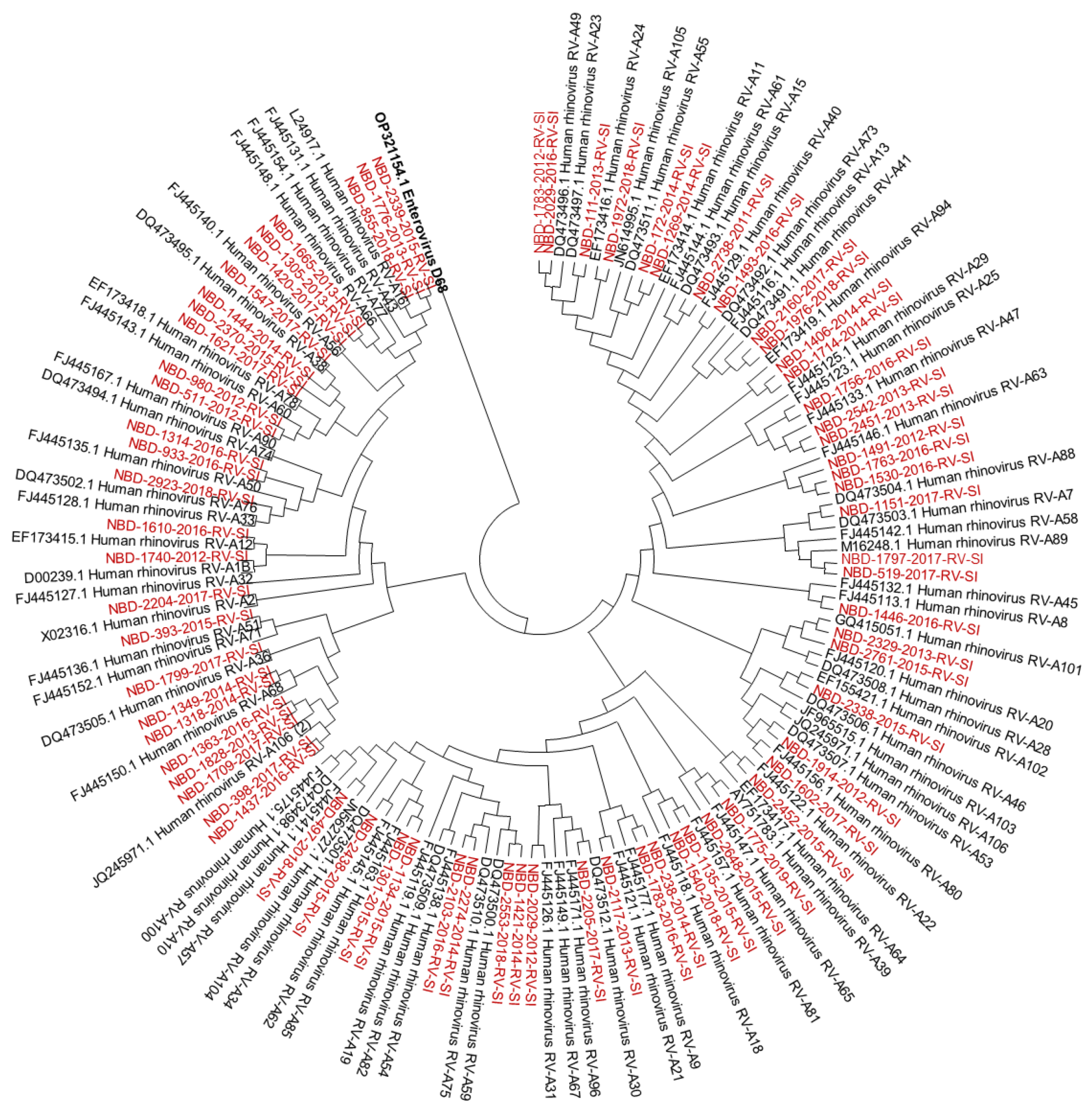 Microorganisms 12 00341 g001