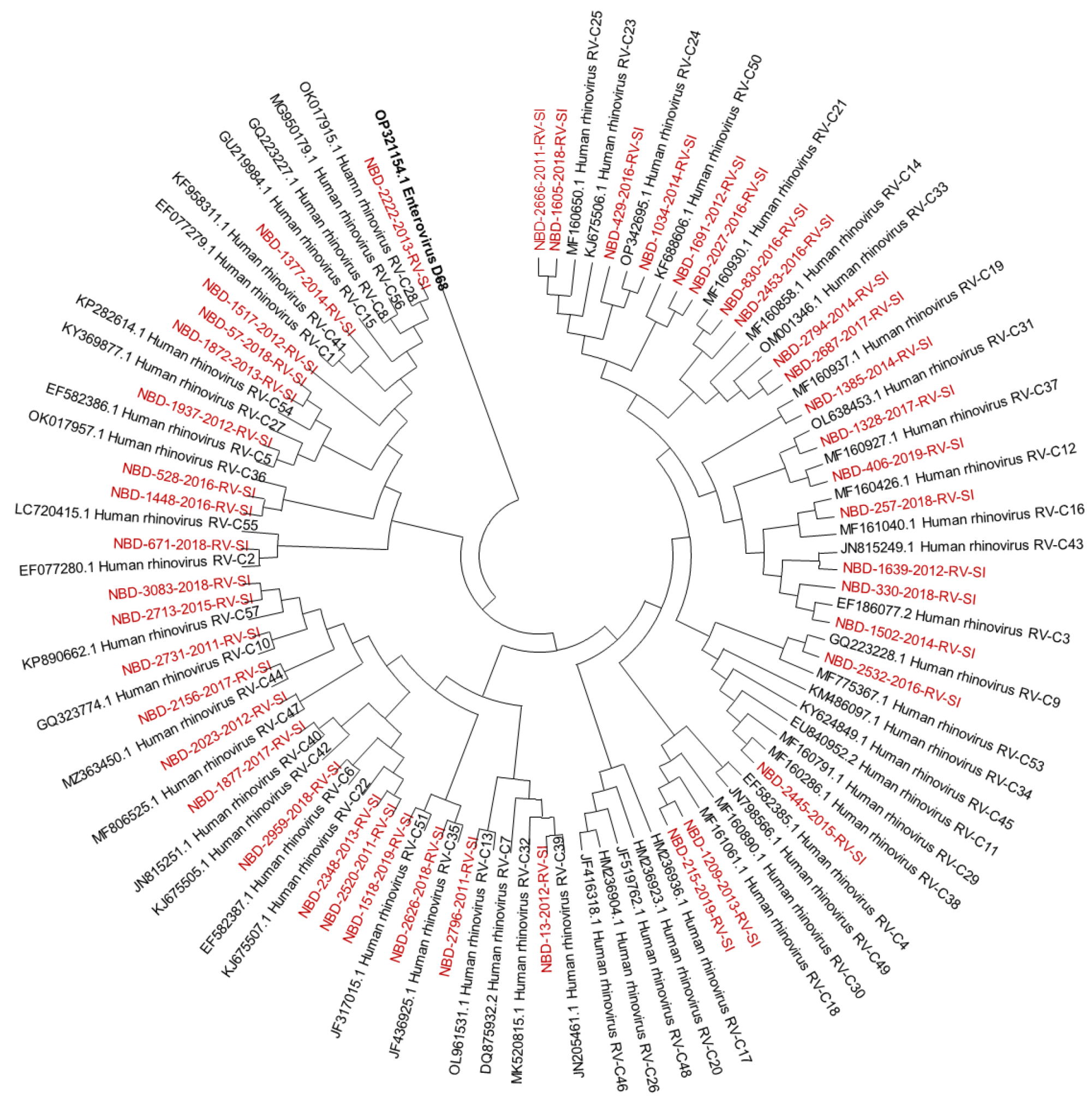 Microorganisms 12 00341 g003