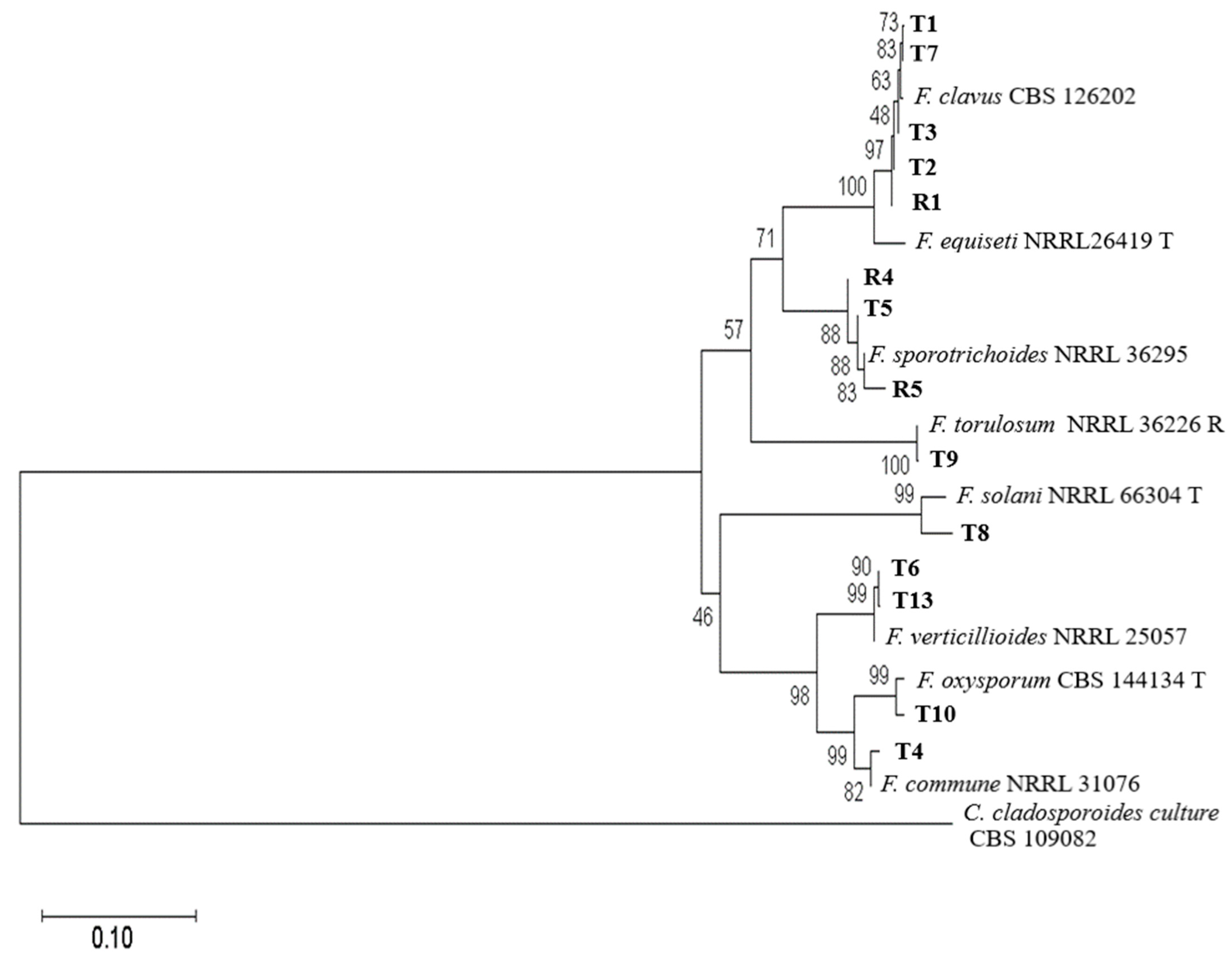 Microorganisms 12 00343 g003