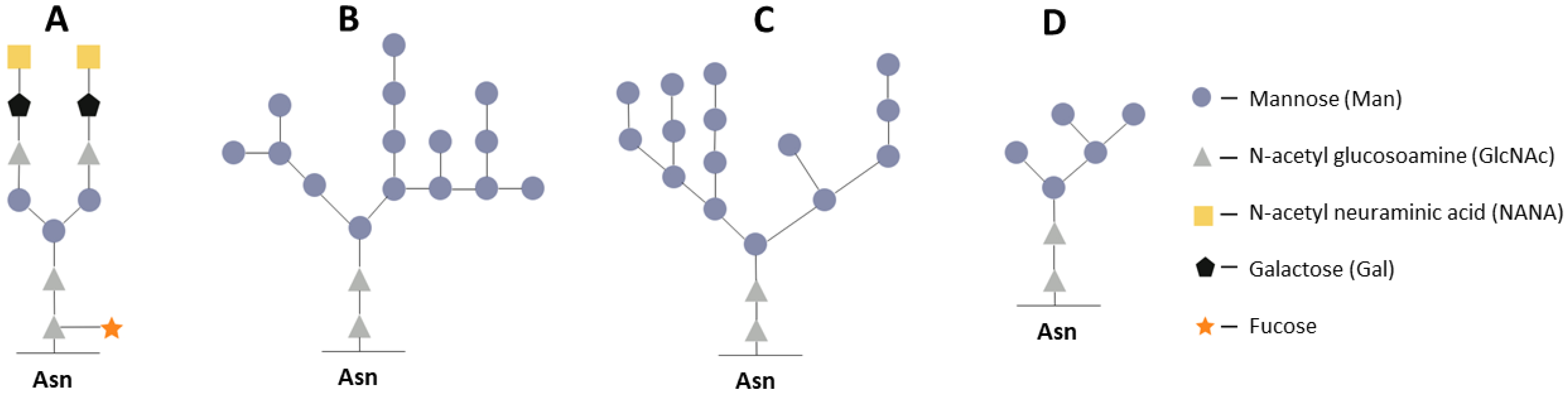 Microorganisms 12 00346 g003