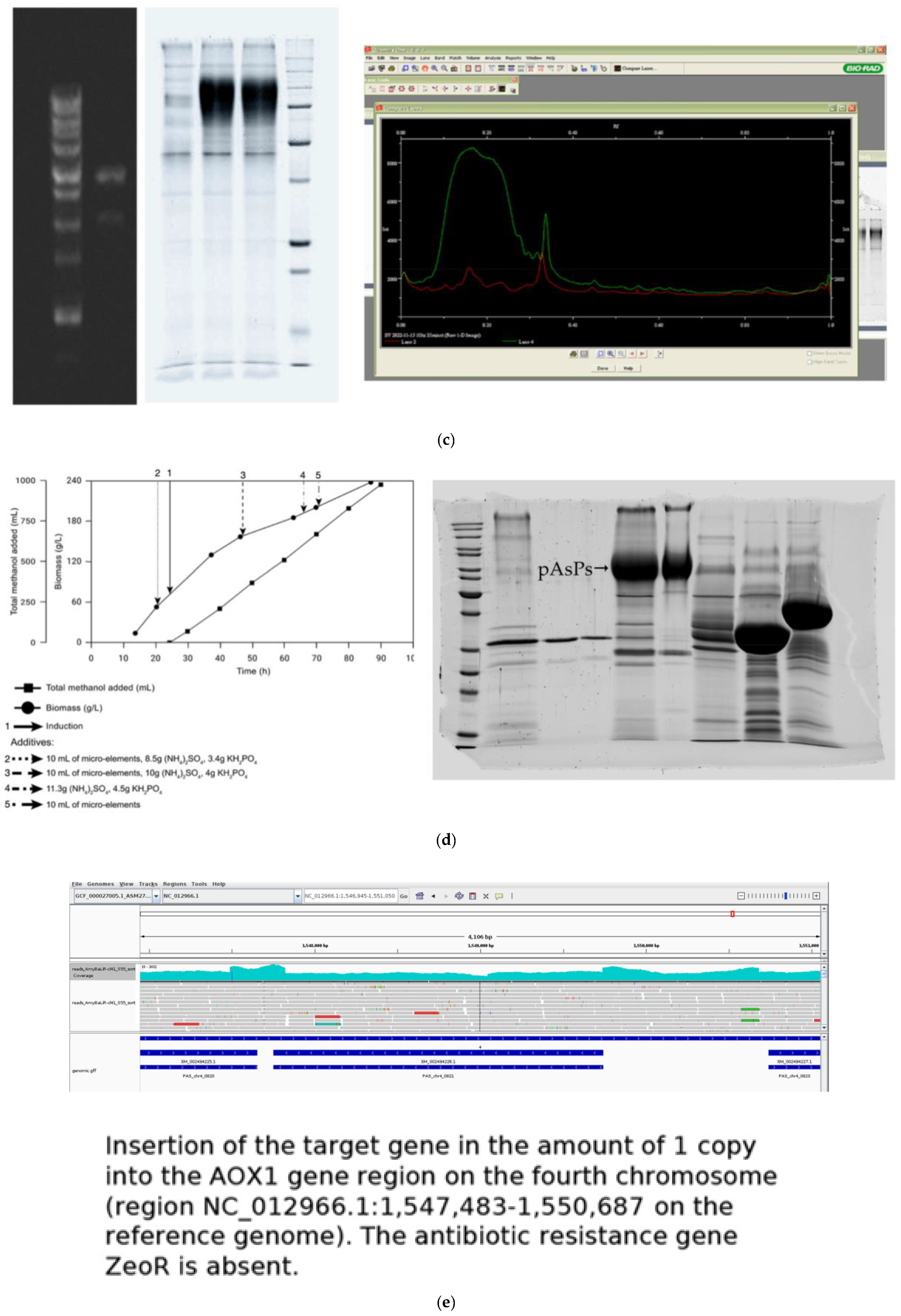 Microorganisms 12 00346 g004b