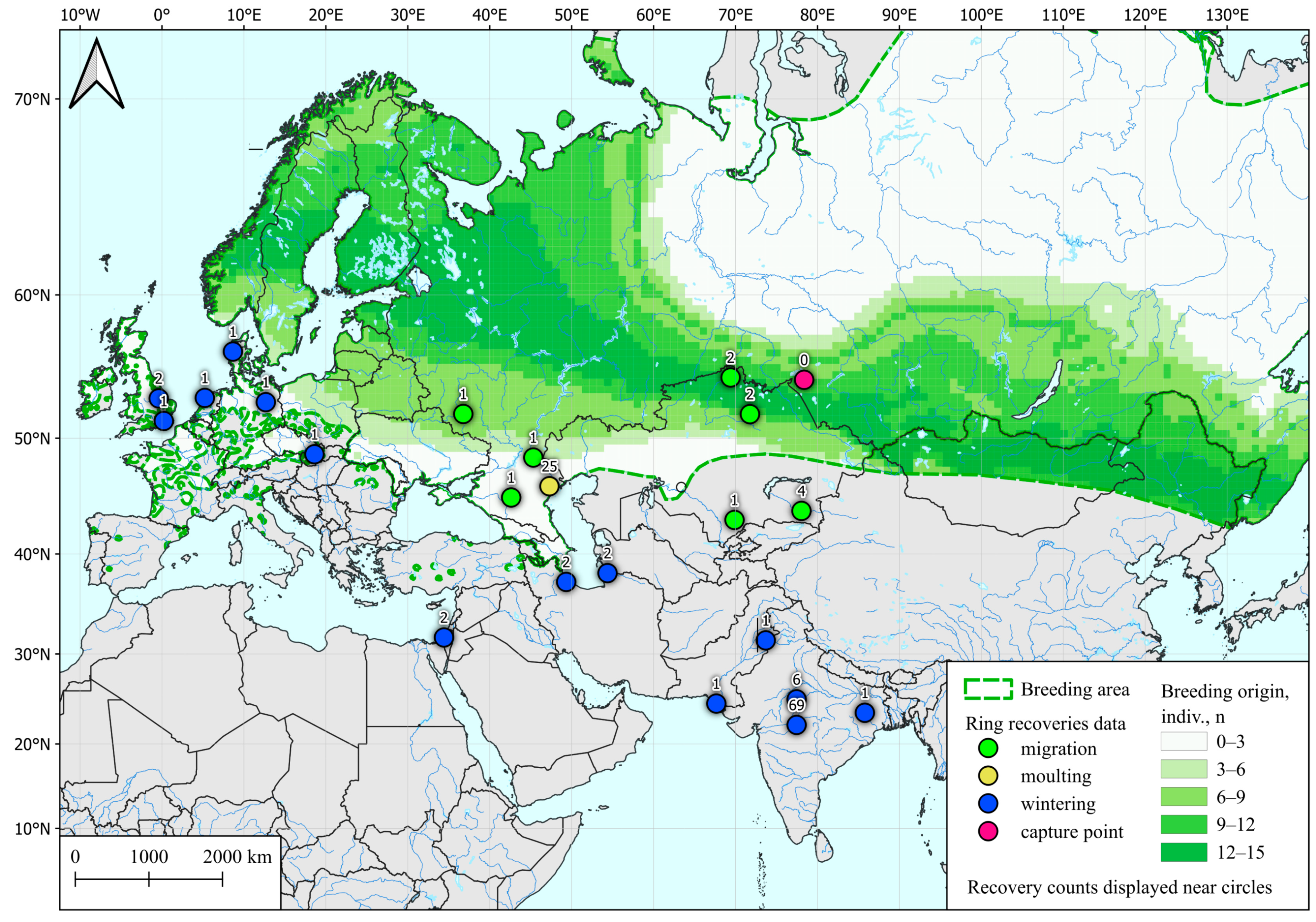 Microorganisms 12 00357 g001