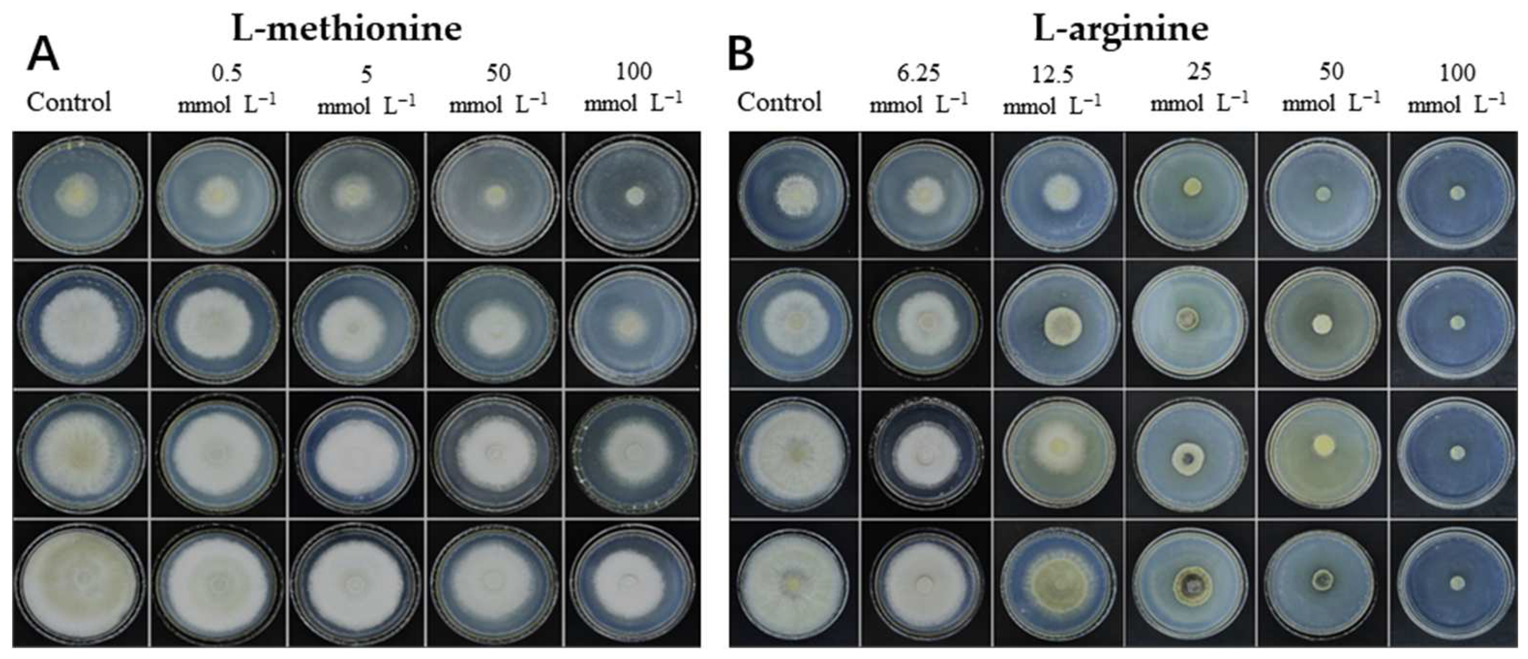 Microorganisms 12 00360 g001a