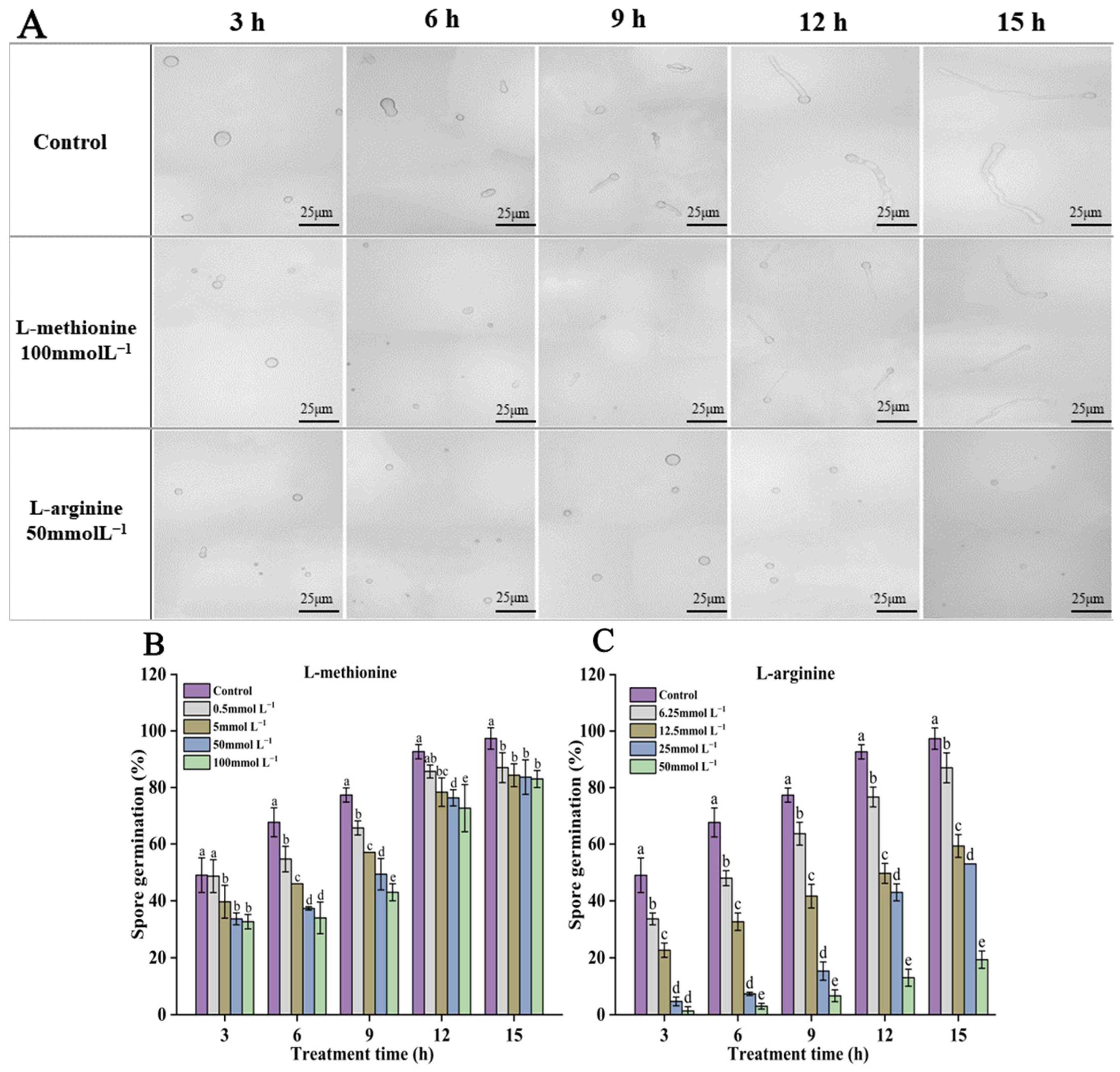 Microorganisms 12 00360 g002