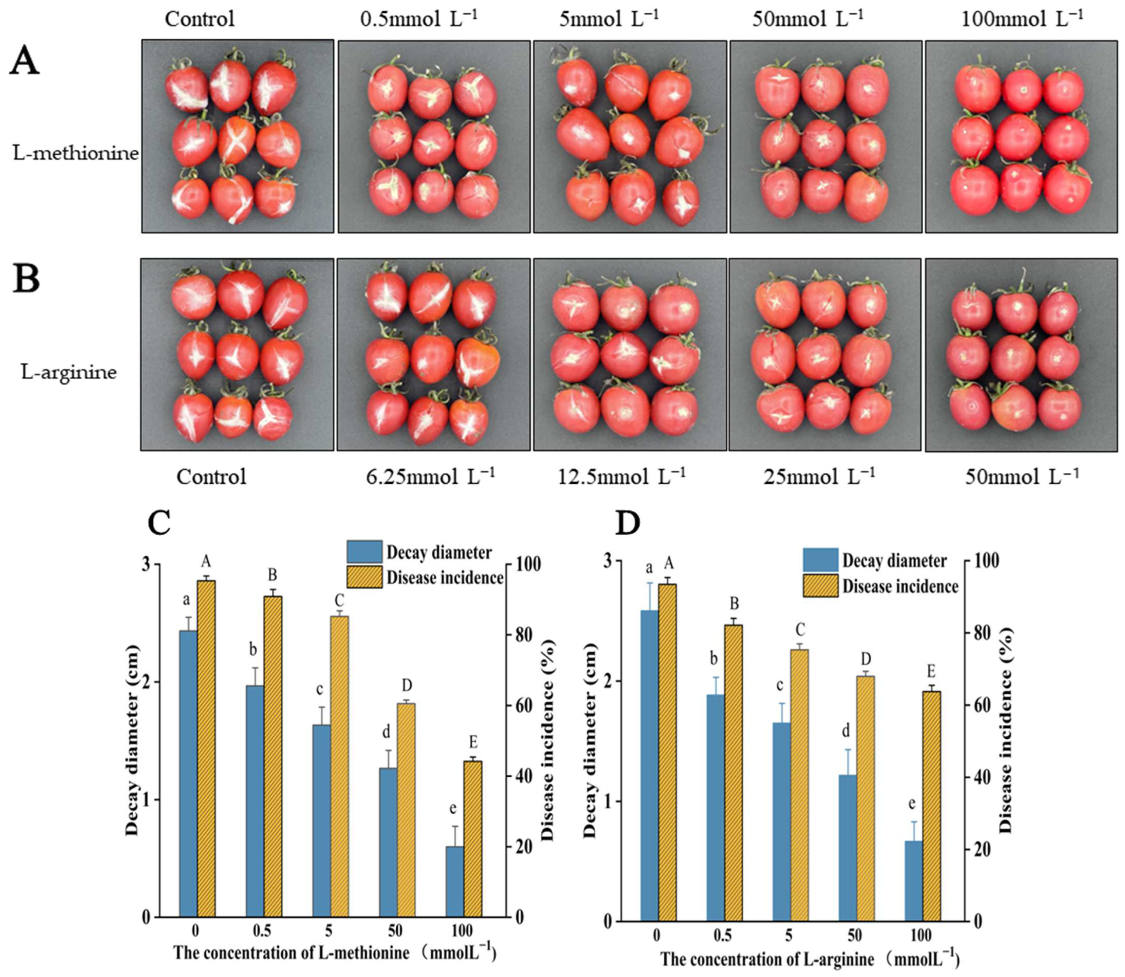 Microorganisms 12 00360 g008