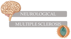 Microorganisms 12 00362 i001 Microorganisms 12 00362 i001