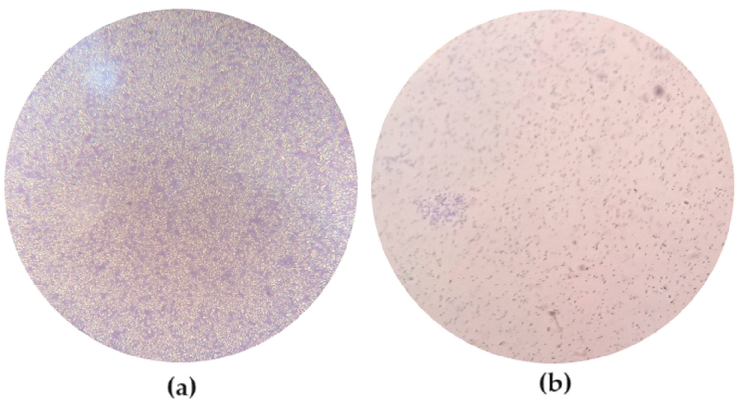 Microorganisms 12 00366 g001 Microorganisms 12 00366 g001