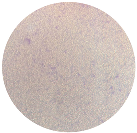 Microorganisms 12 00366 i006 Microorganisms 12 00366 i006