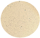 Microorganisms 12 00366 i009 Microorganisms 12 00366 i009