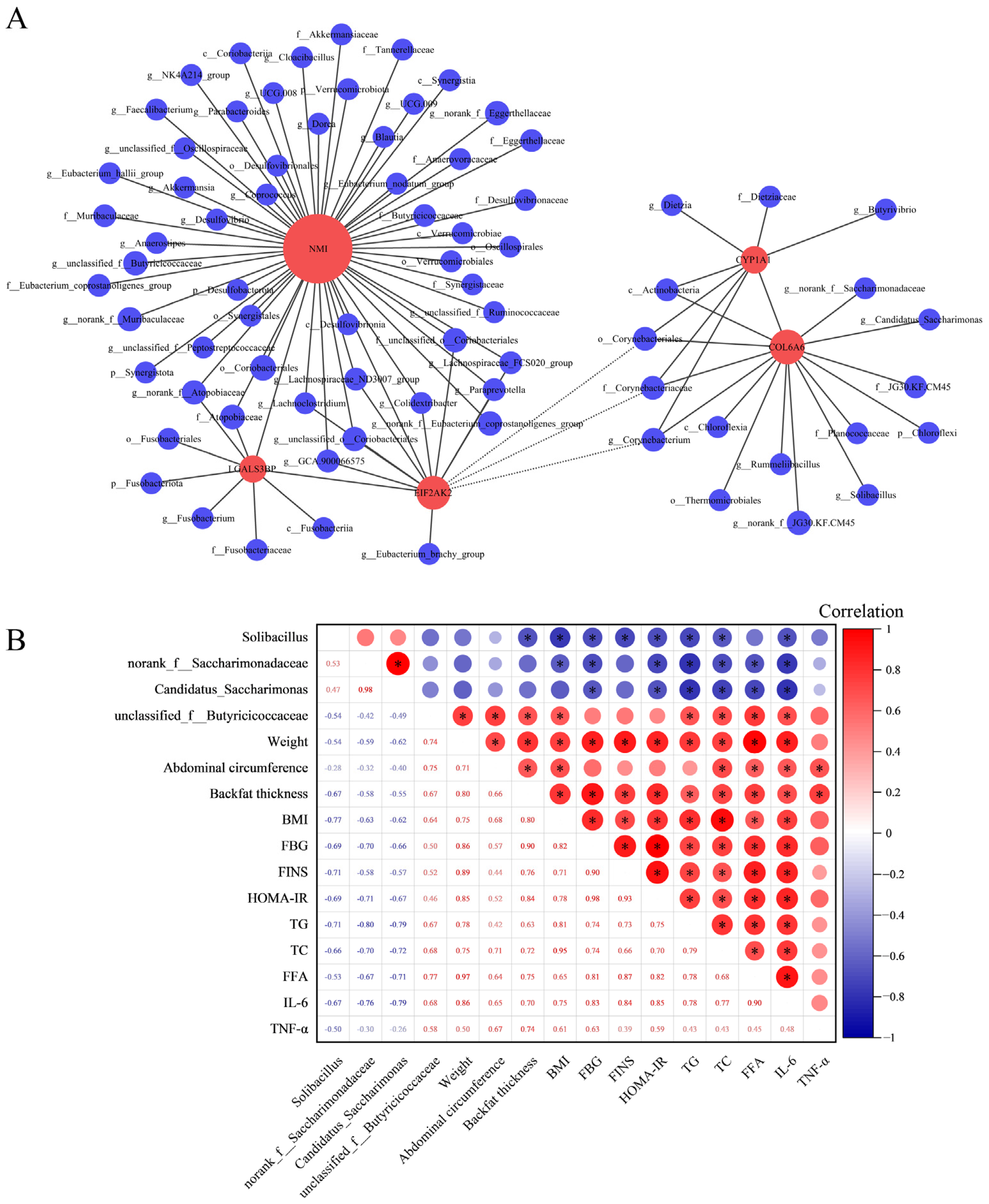 Microorganisms 12 00369 g004