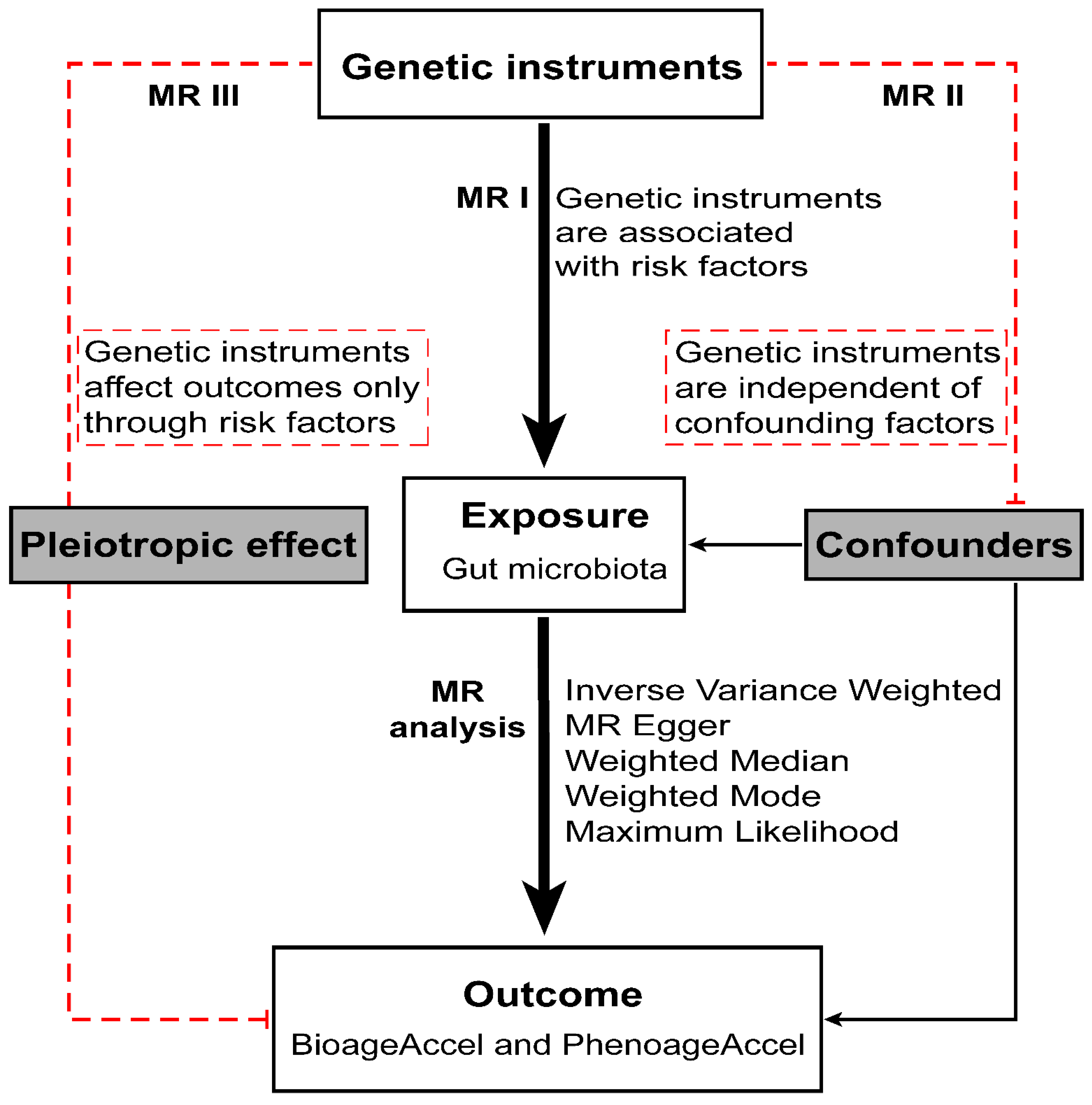 Microorganisms 12 00370 g001