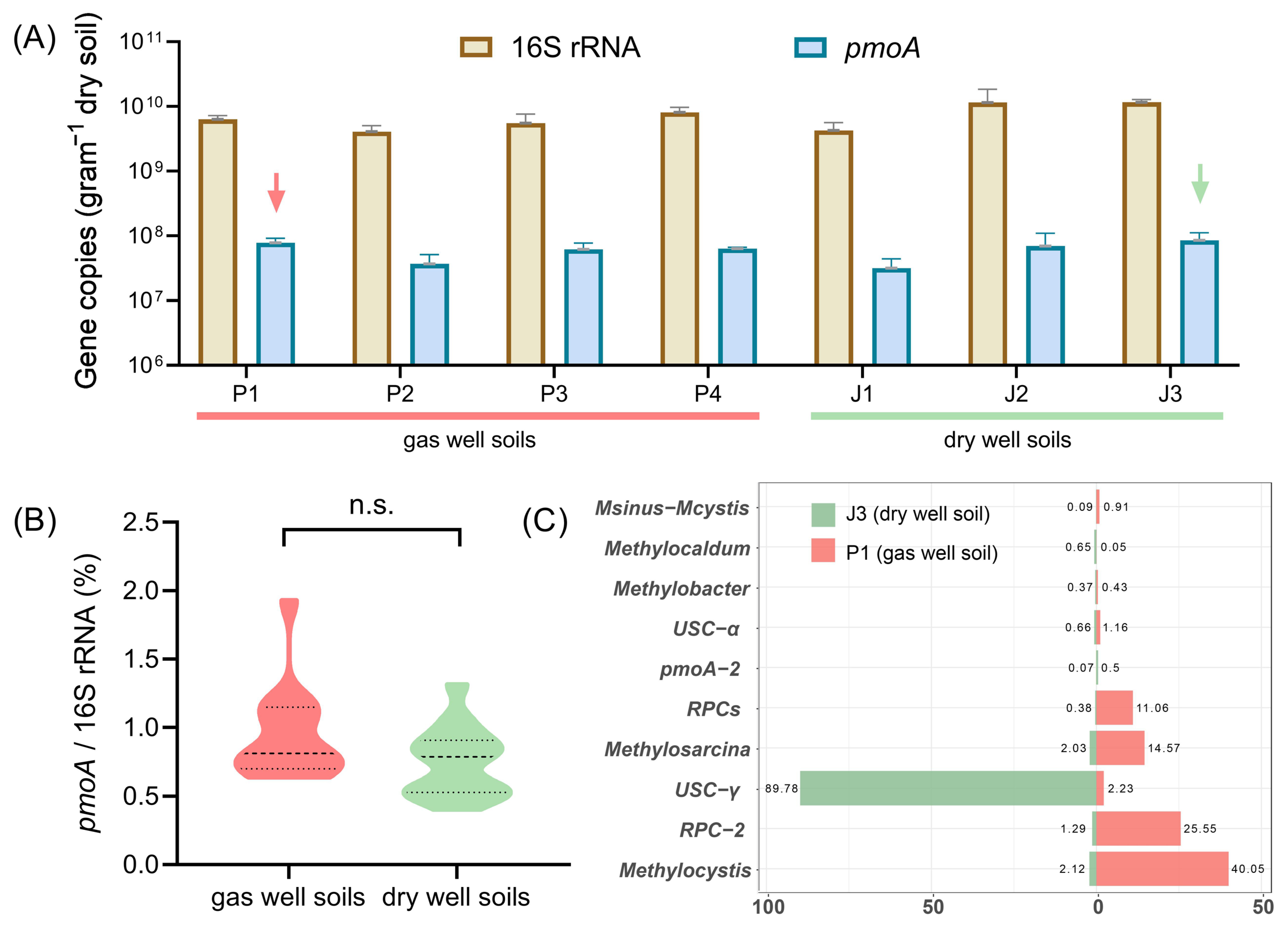 Microorganisms 12 00372 g002