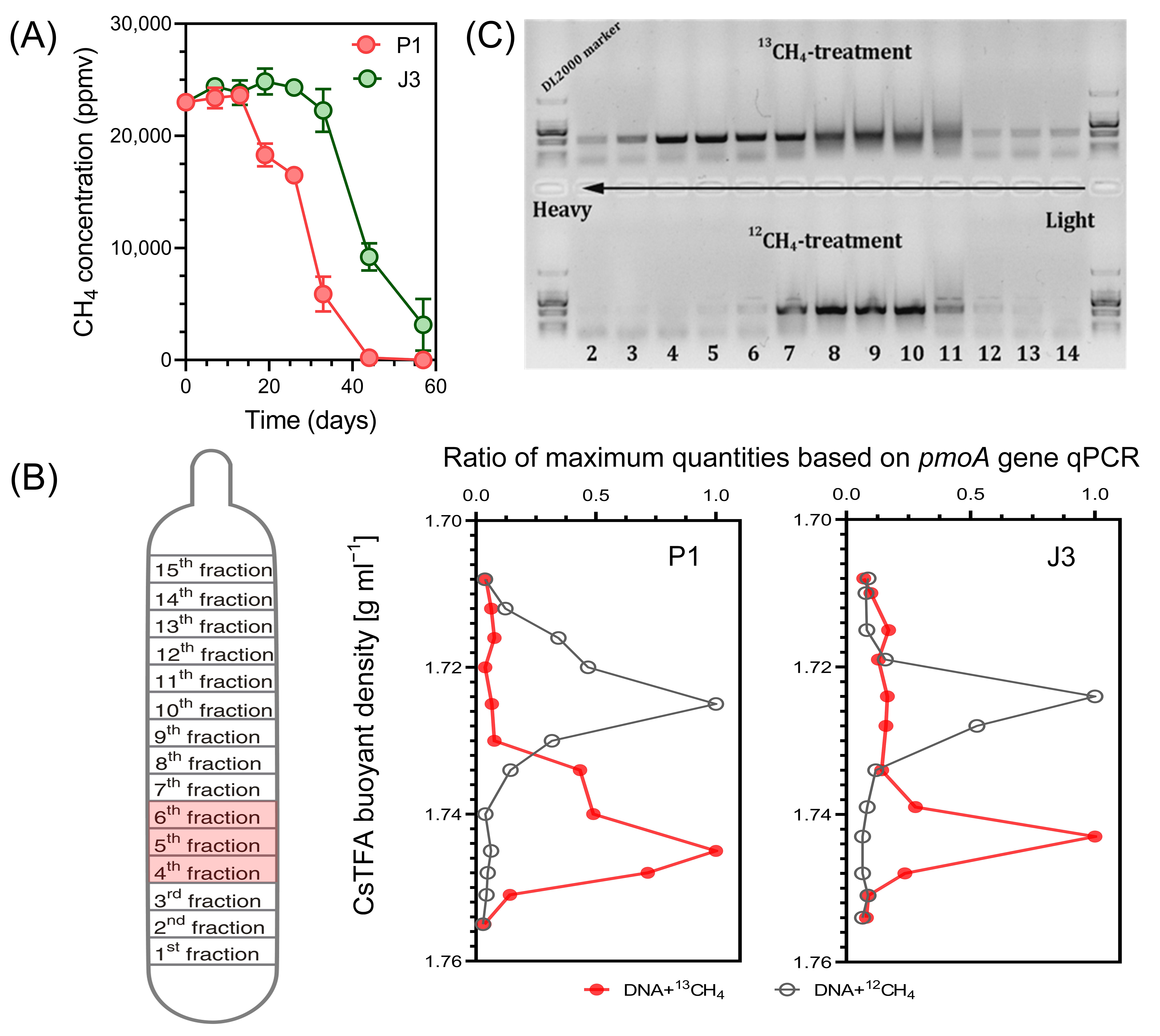 Microorganisms 12 00372 g003