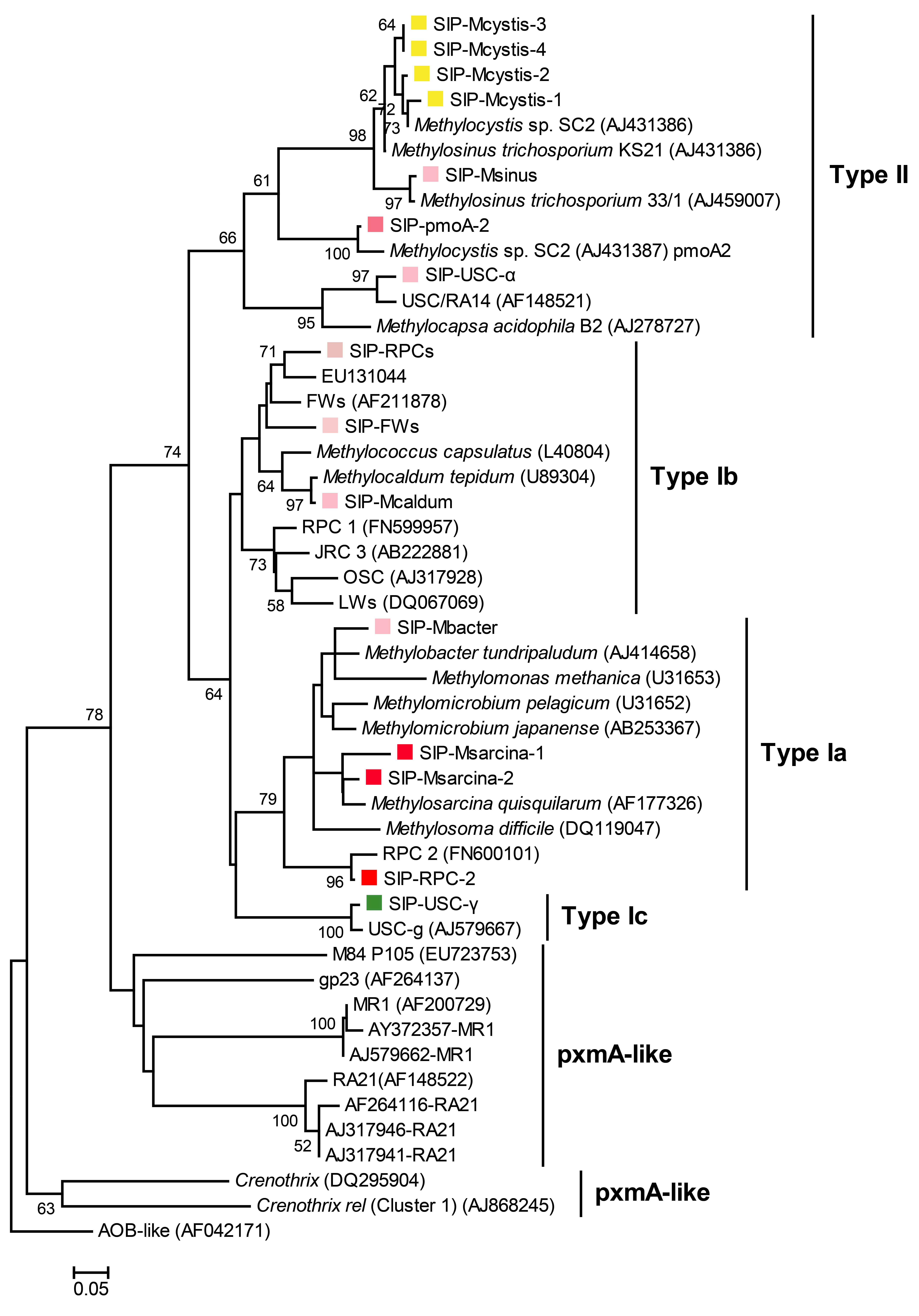 Microorganisms 12 00372 g005