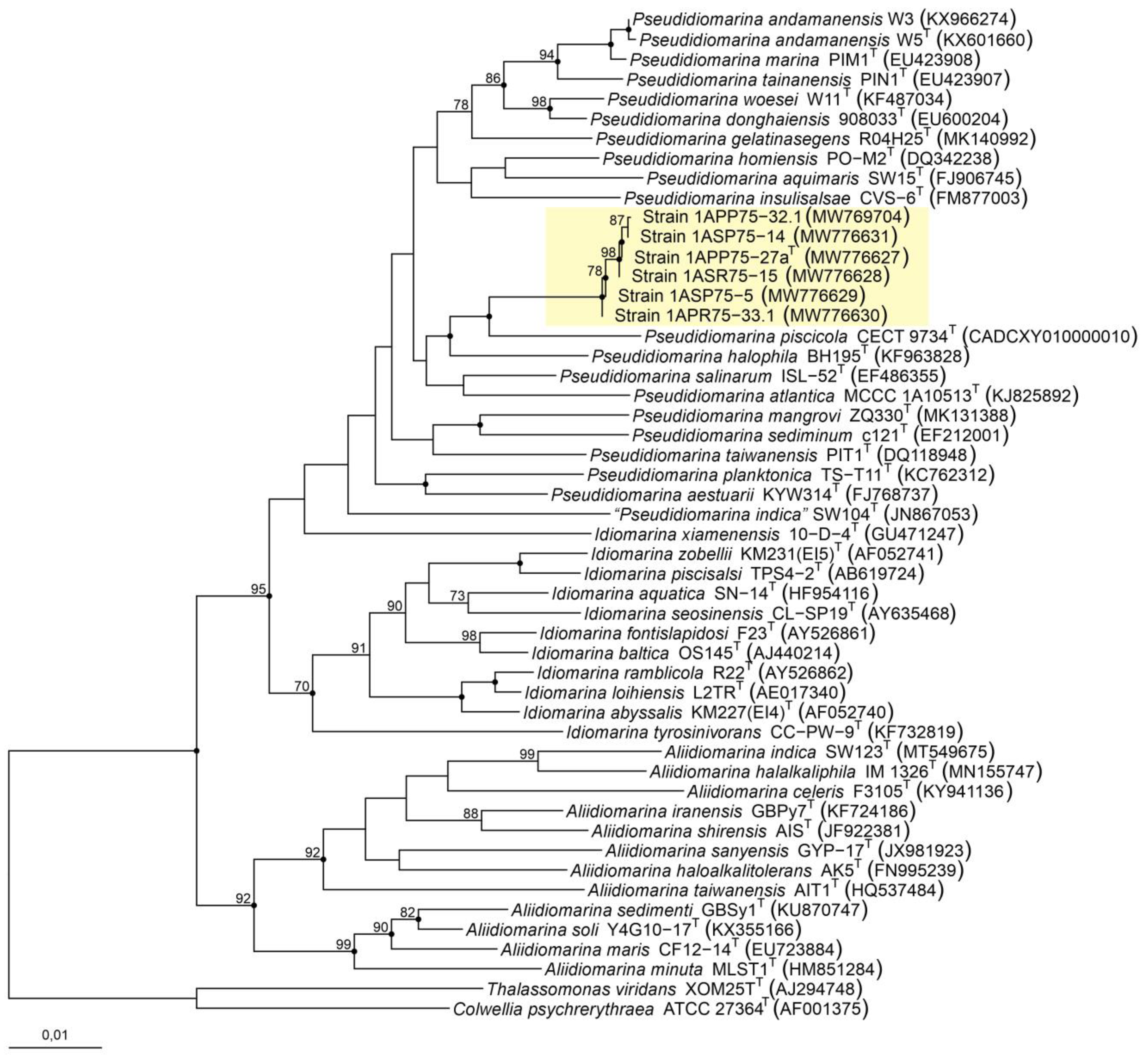 Microorganisms 12 00375 g001