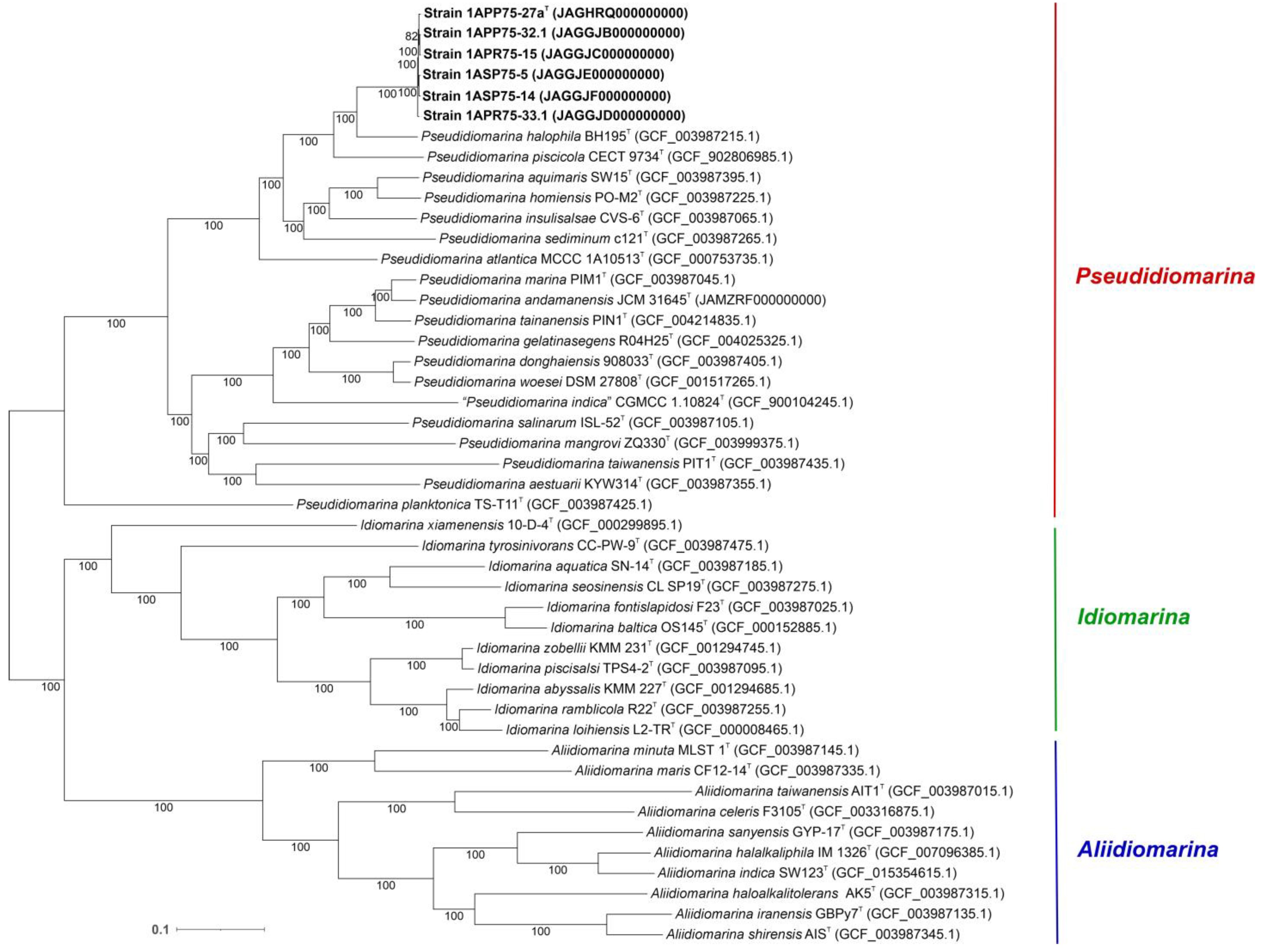 Microorganisms 12 00375 g004