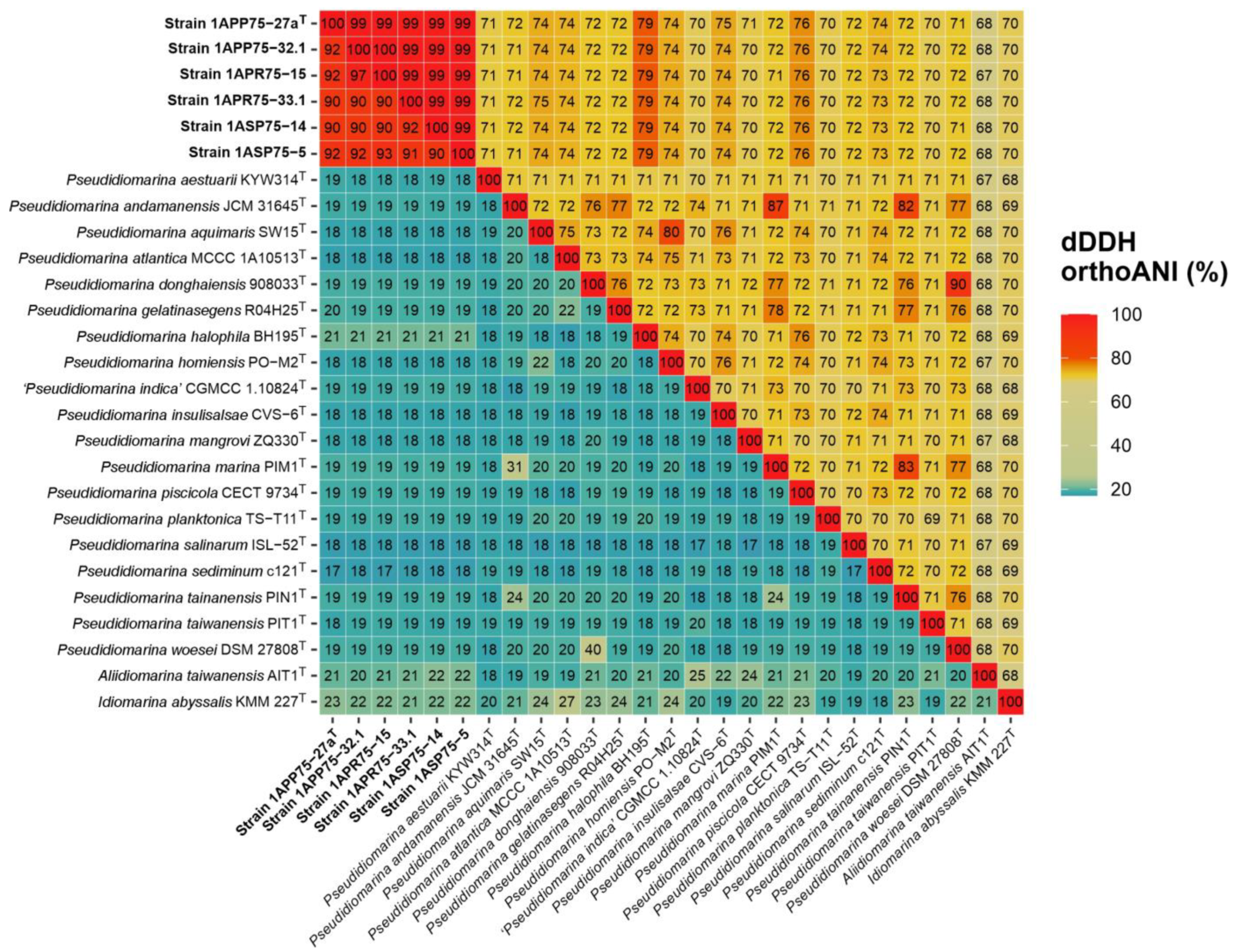 Microorganisms 12 00375 g005