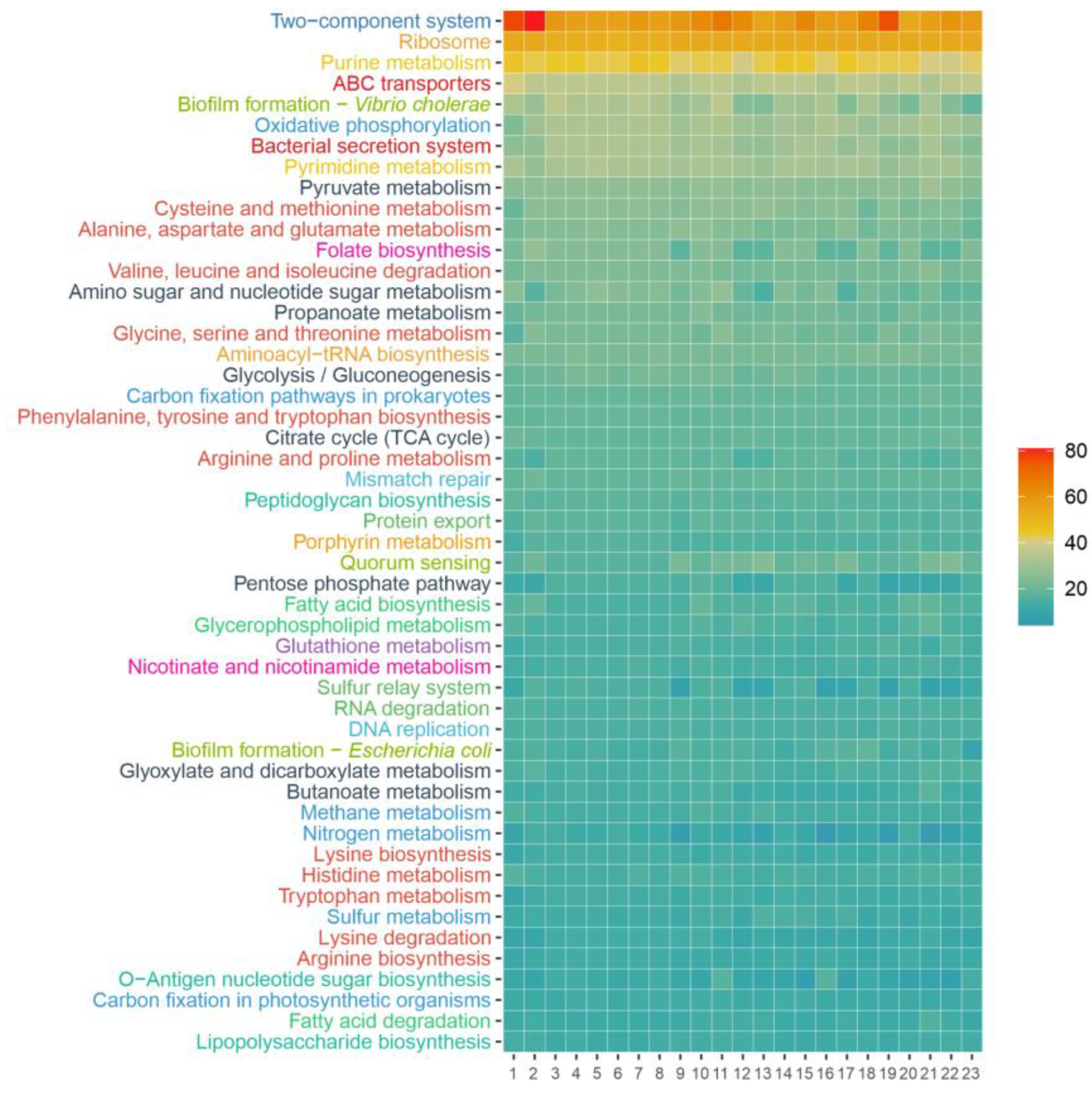 Microorganisms 12 00375 g008