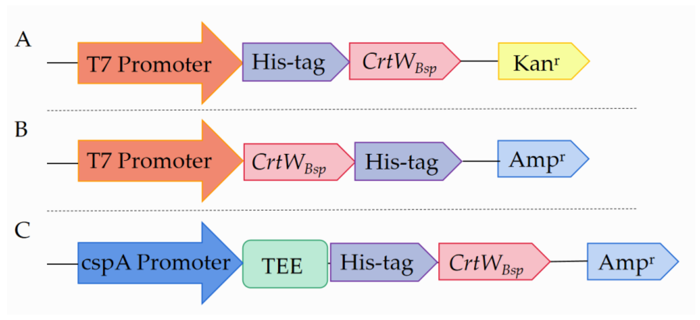 Microorganisms 12 00377 g002