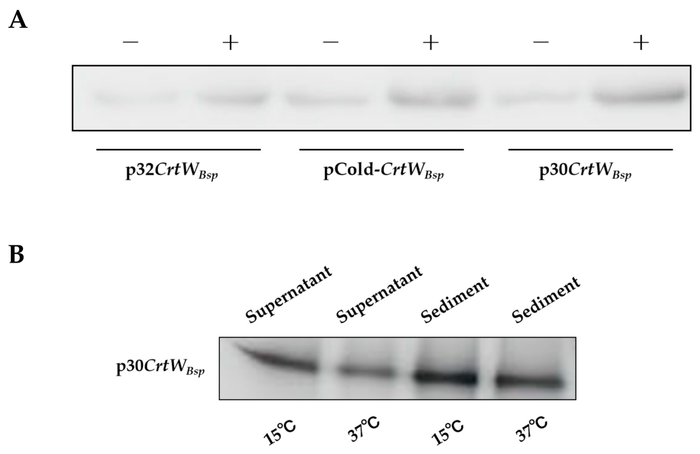 Microorganisms 12 00377 g003