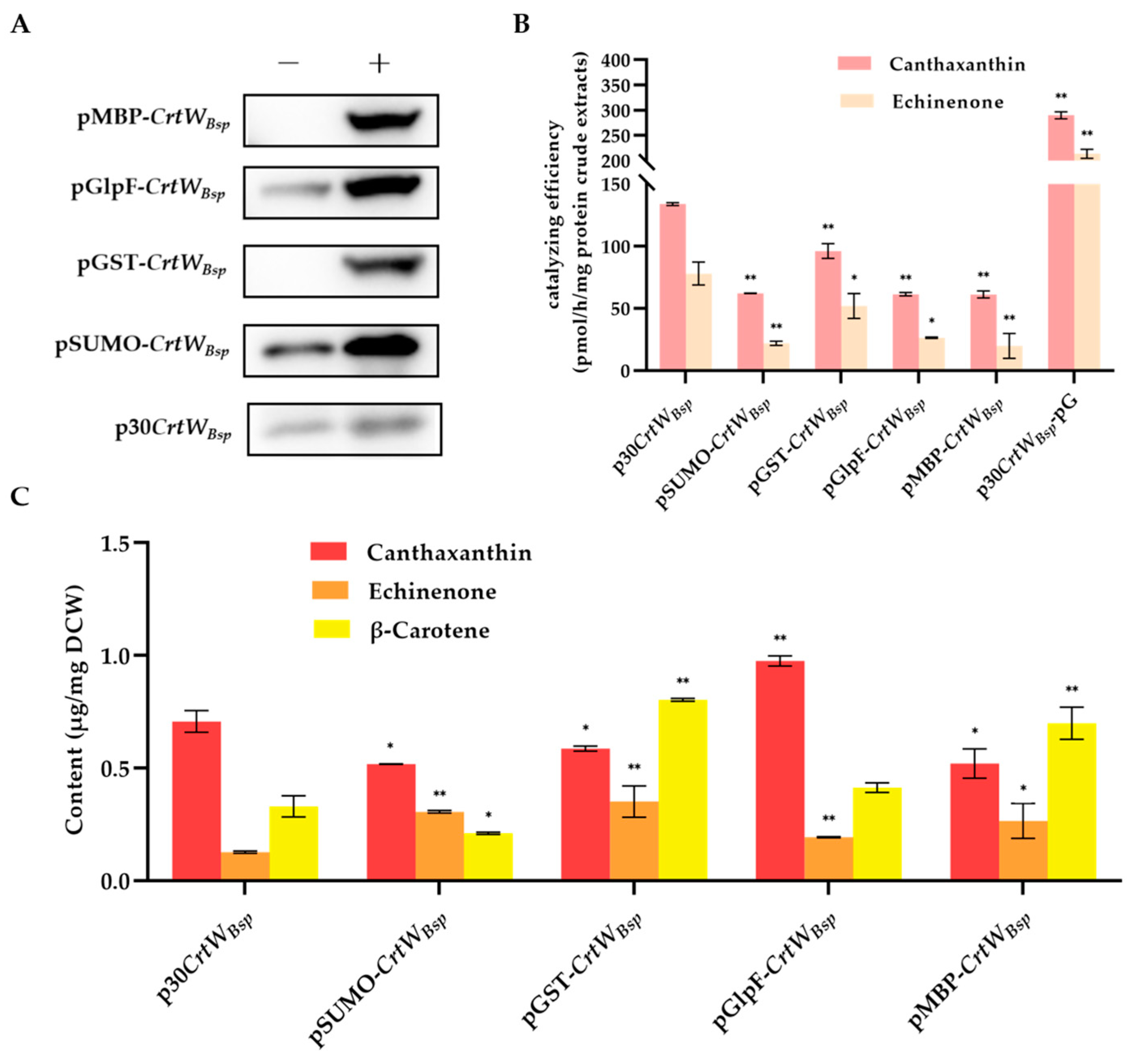 Microorganisms 12 00377 g006