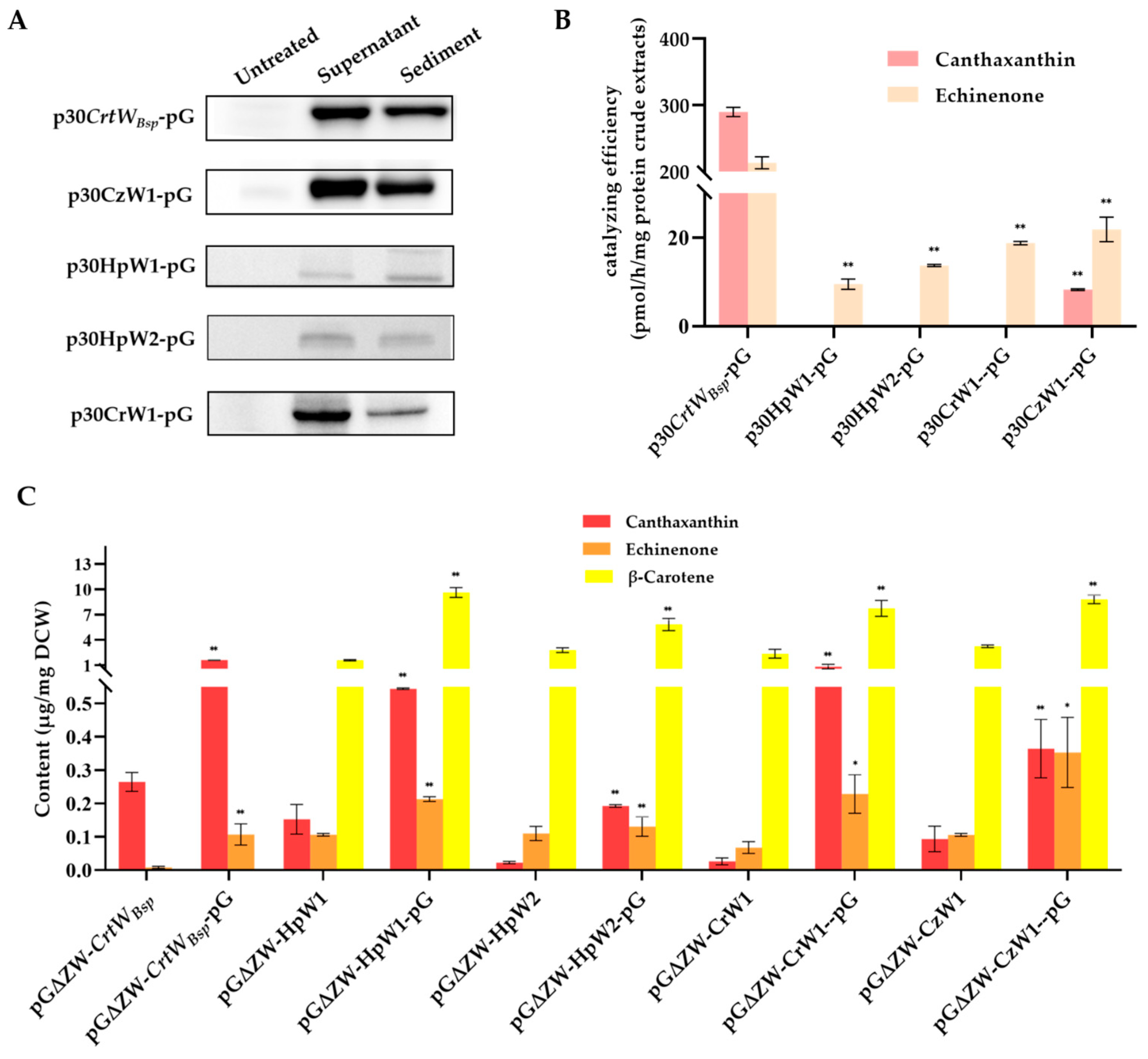 Microorganisms 12 00377 g007