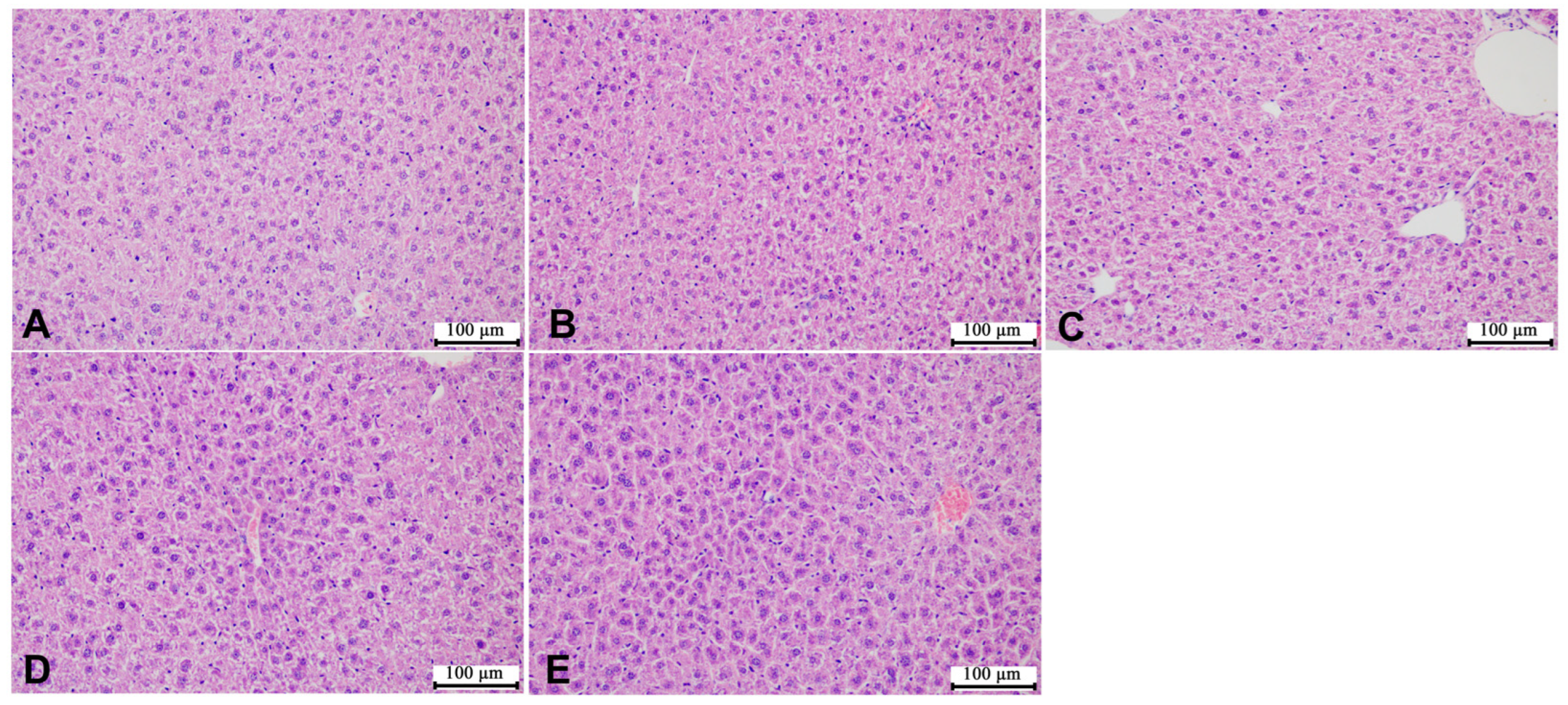 Microorganisms 12 00381 g005