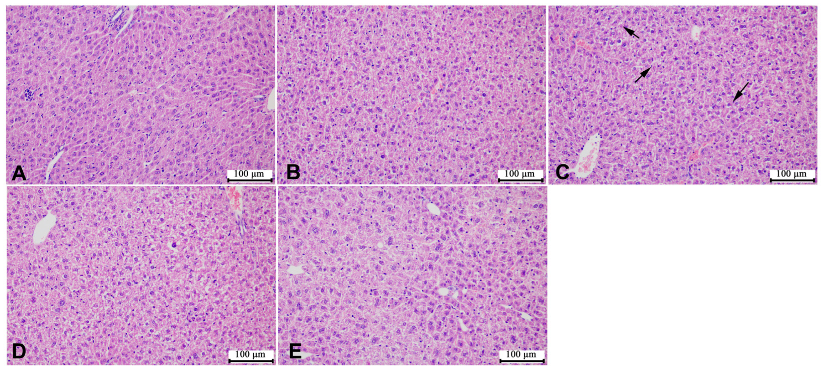 Microorganisms 12 00381 g006