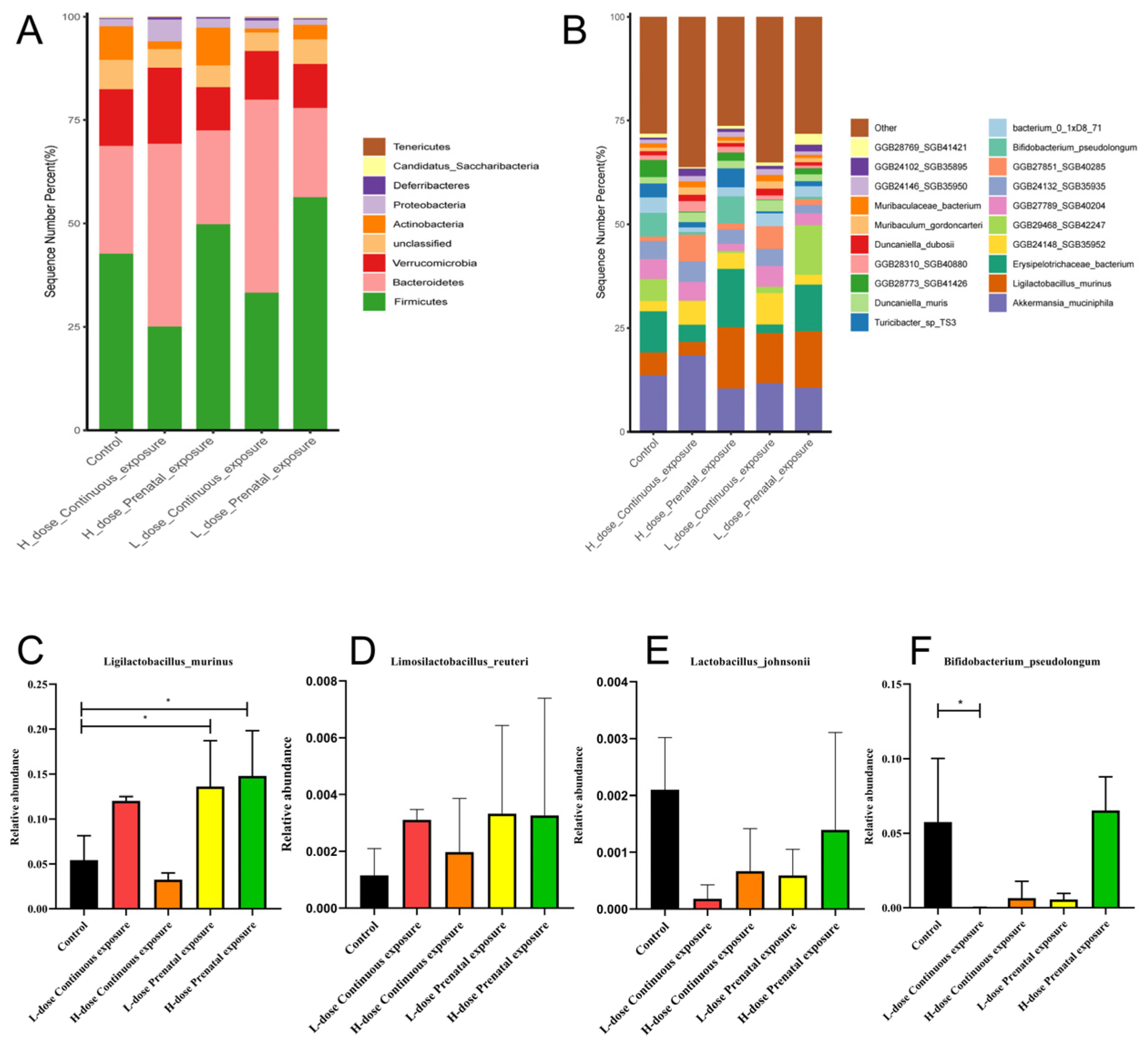 Microorganisms 12 00381 g013