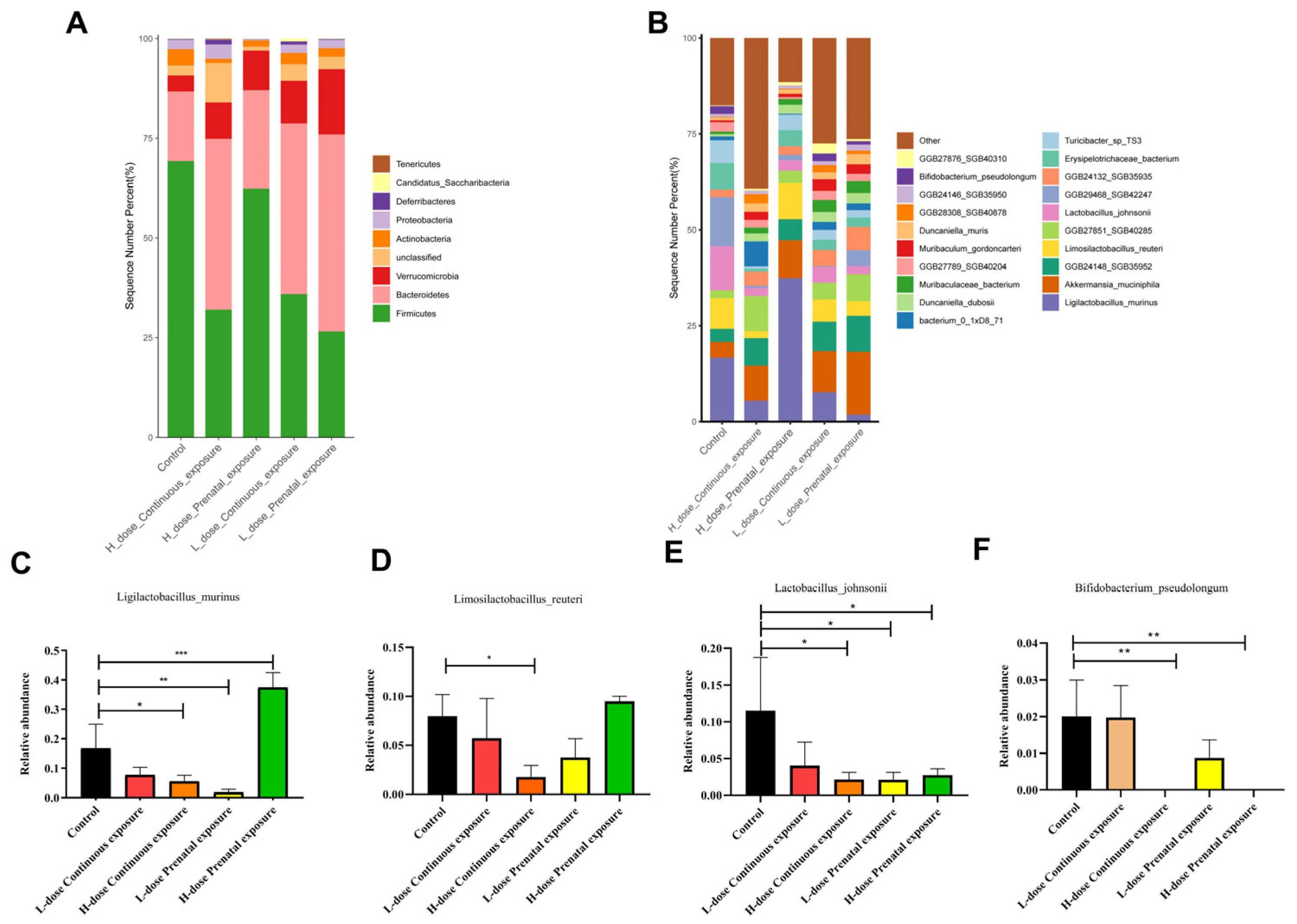 Microorganisms 12 00381 g014