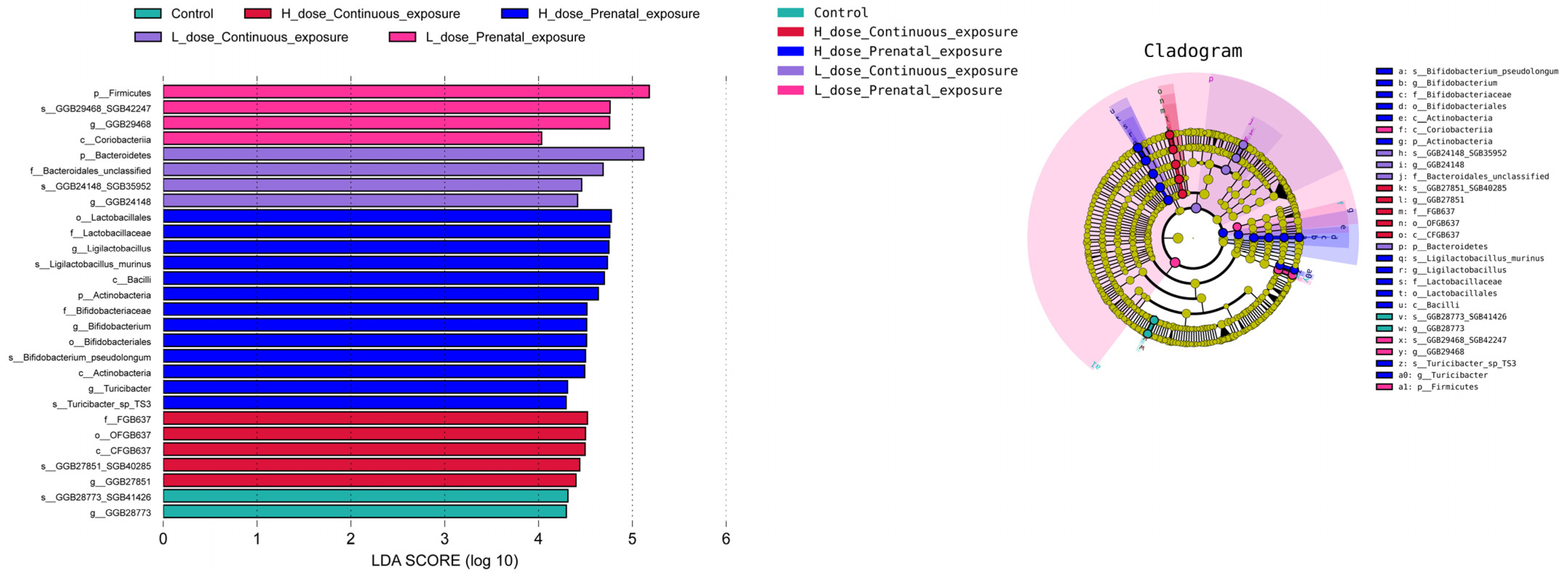 Microorganisms 12 00381 g015